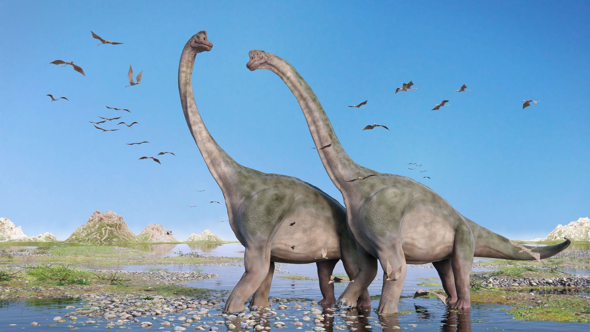 pourquoi-certains-dinosaures-avaient-ils-un-si-long-cou