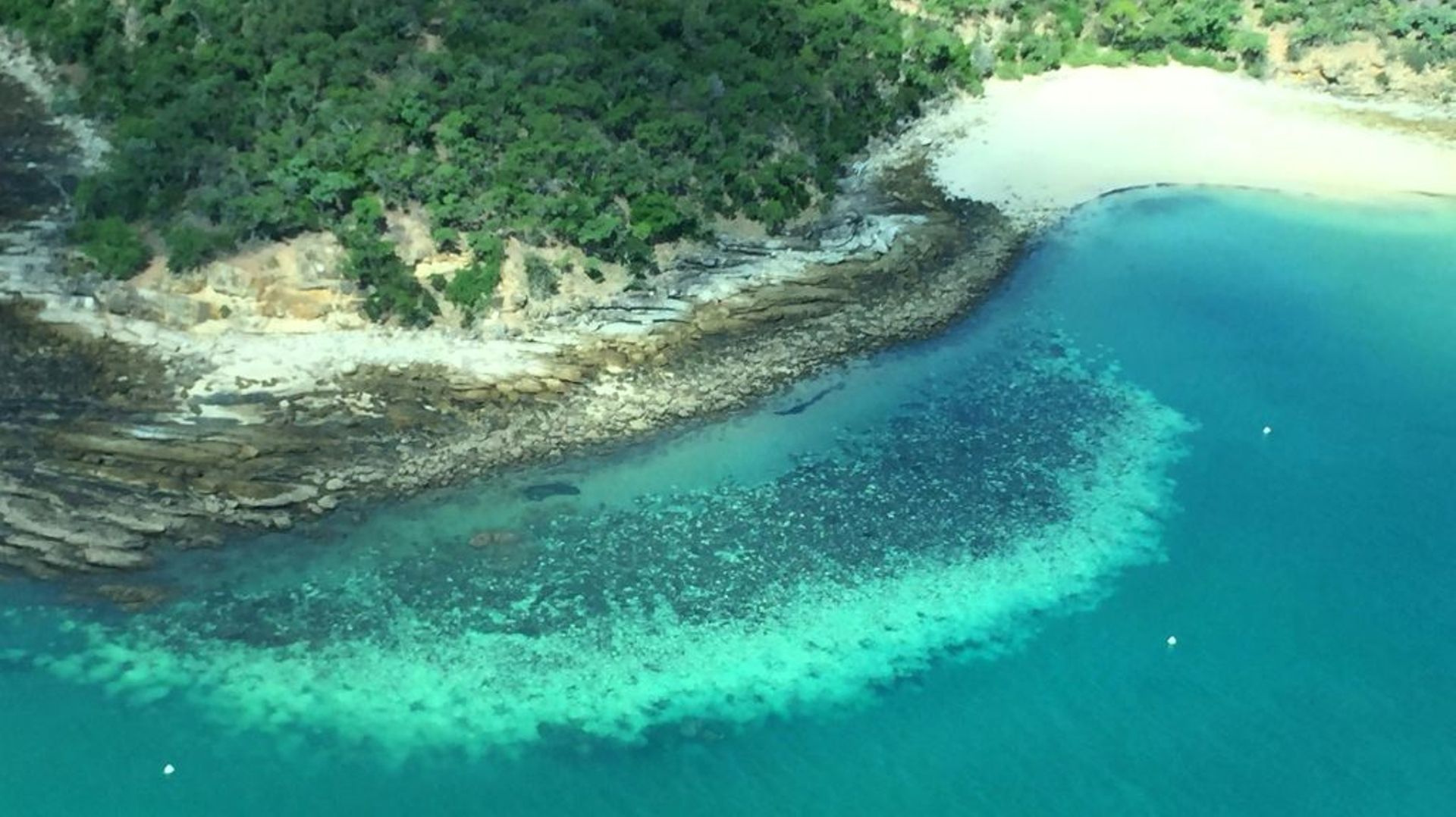 Photo aérienne non datée remise le 6 avril 2020 par le ARC Centre of Excellence for Coral Reef Studies de la  ames Cook University, montrant une portion de la Grande Barrière de corail affectée par le blanchissement.