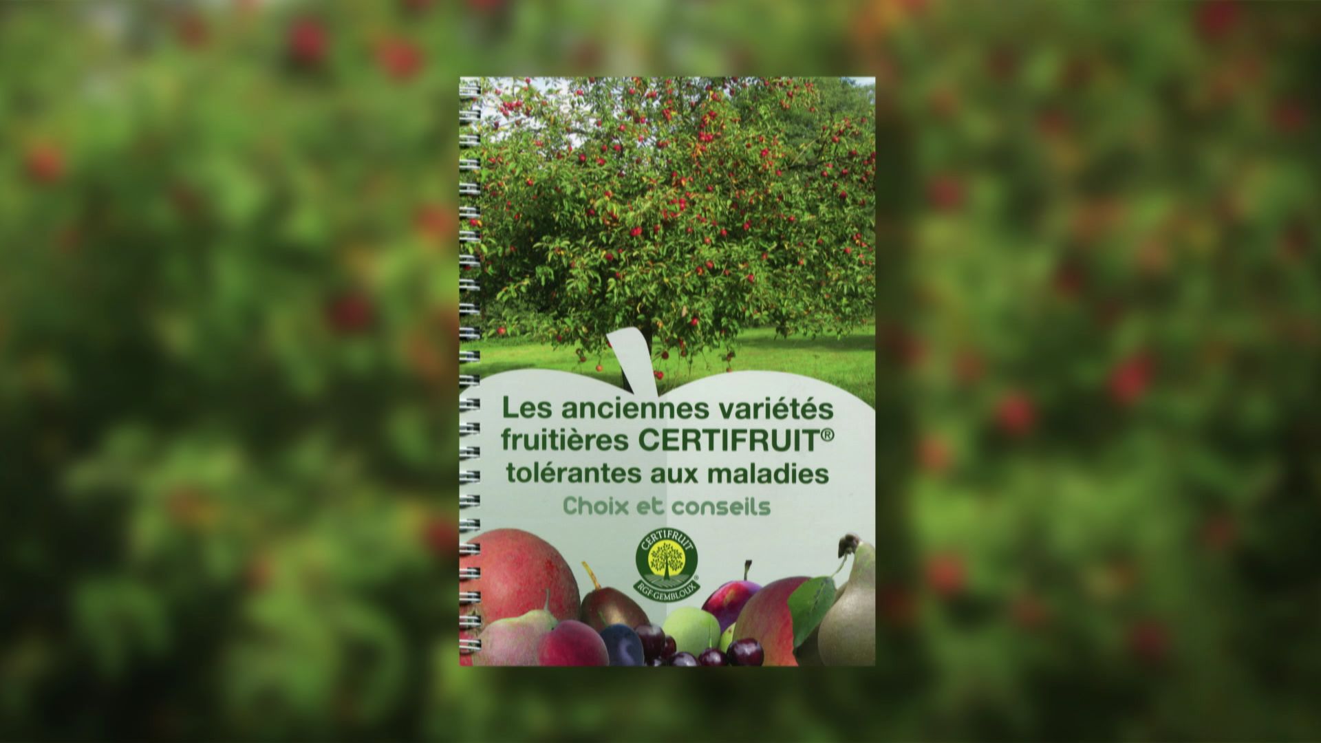 Brochure : Les anciennes variétés fruitières CERTIFRUIT tolérantes aux maladies - Choix et conseils