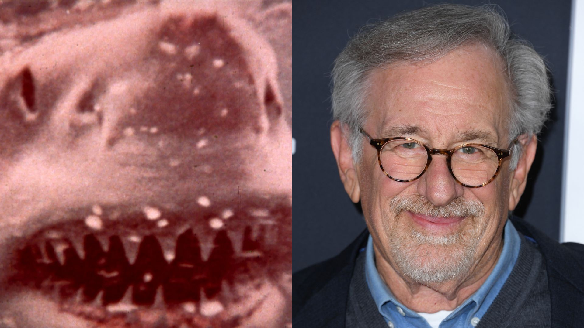Les Dents de la Mer / Steven Spielberg