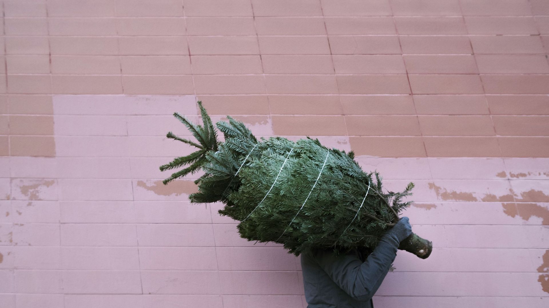 Young man with fir tree on his shoulder near the wall