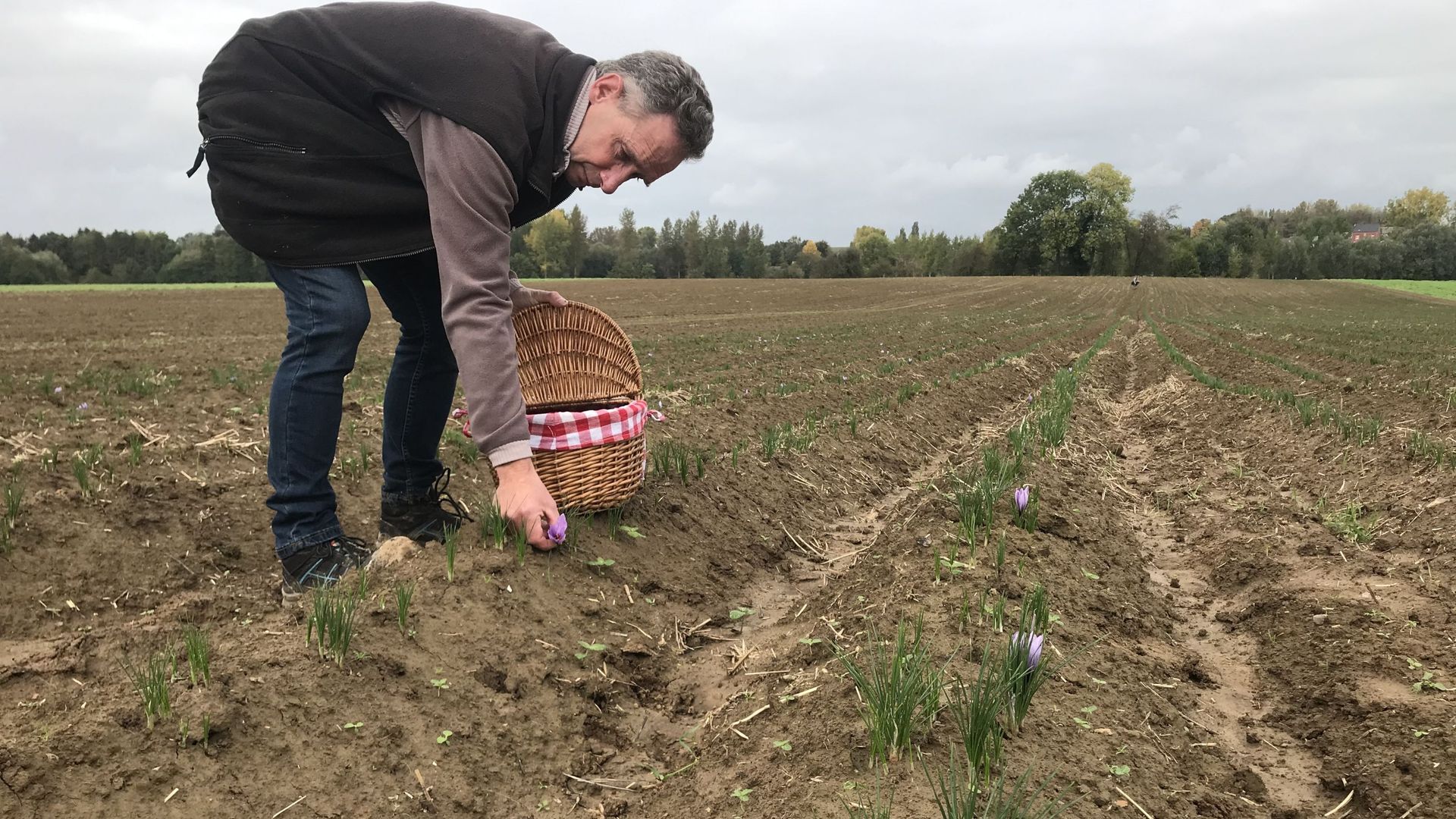 Eric Léonard récolte ses fleurs une à une