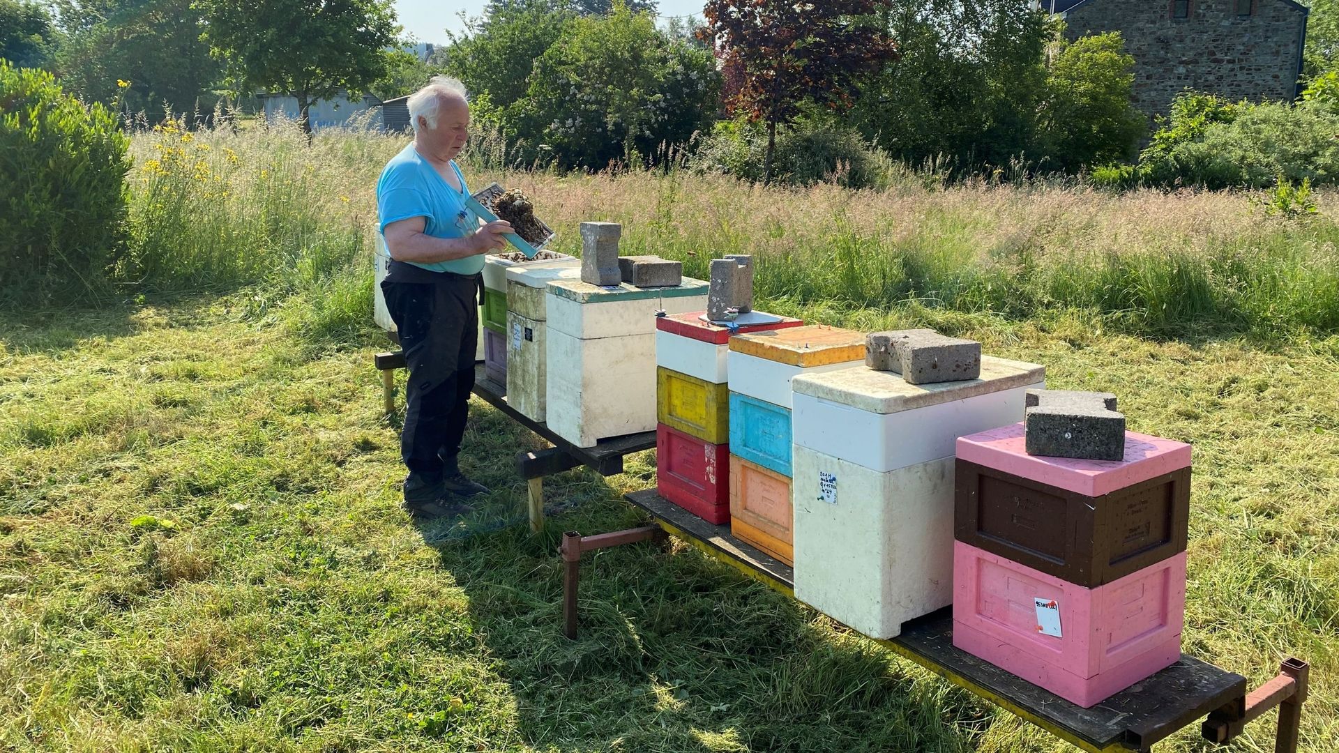 José Artus est apiculteur depuis l'enfance. Il possède une exploitation apicole d'une centaine de ruches