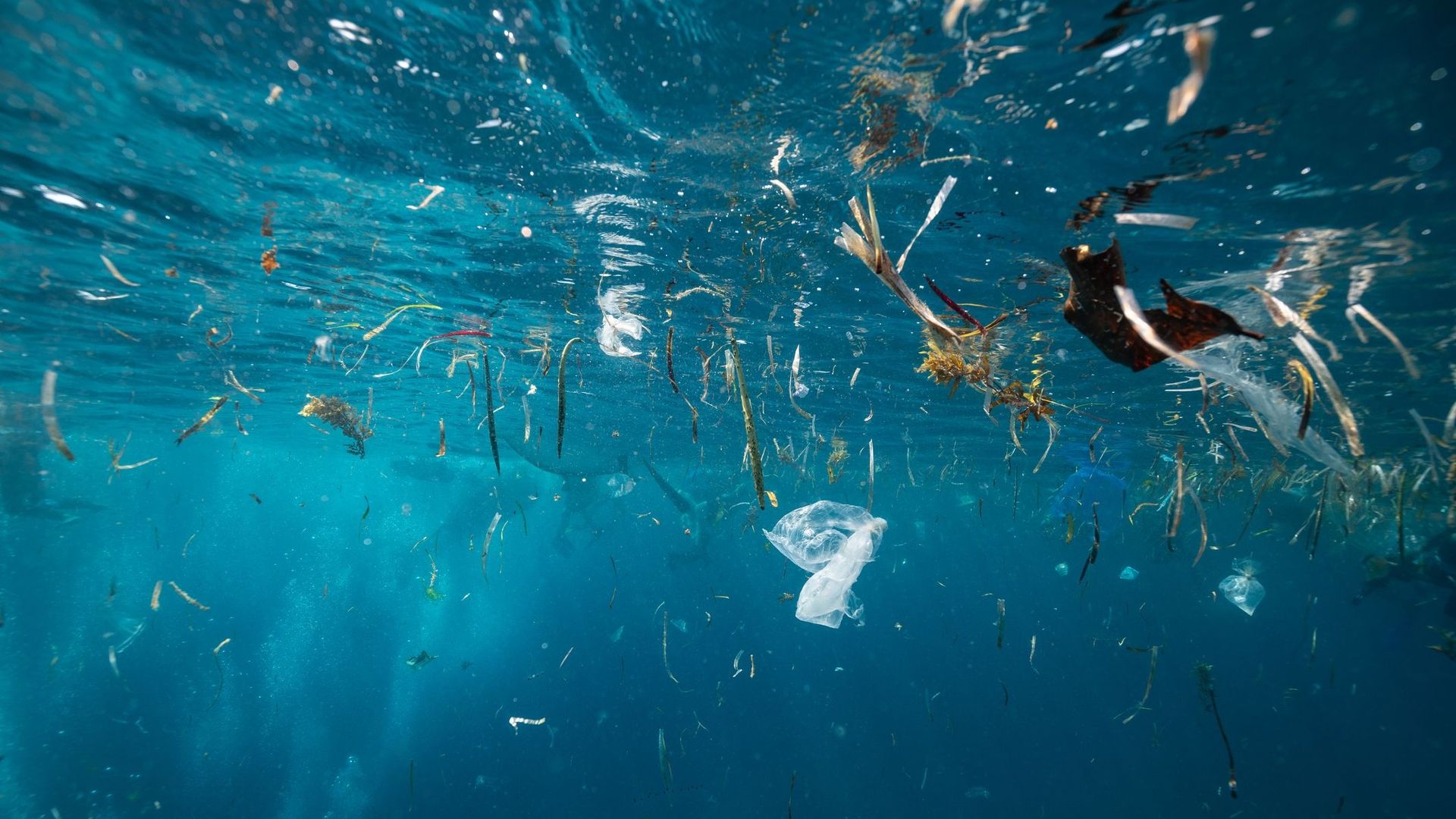 Des microplastiques issus du trafic routier jusque dans les océans, selon une étude.