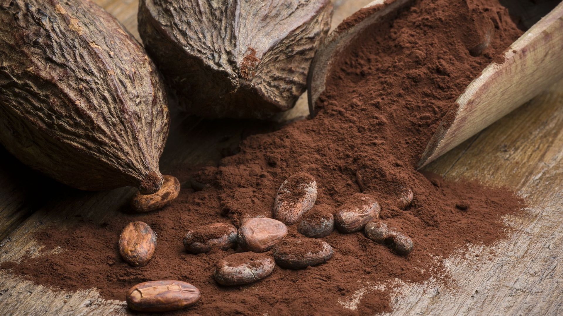 La passion du cacao, une histoire vieille de plus de 5.000 ans.