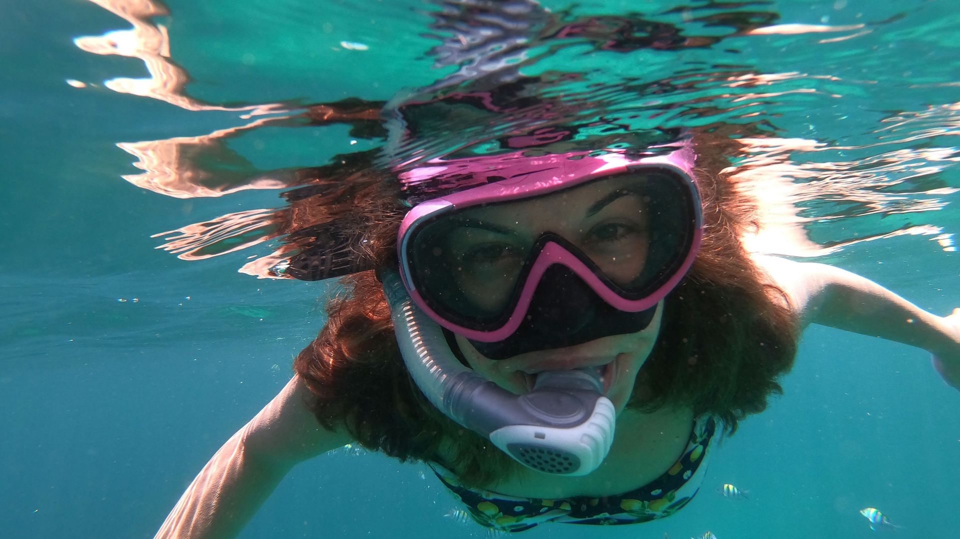 Snorkeling : faut-il opter pour un masque traditionnel ou un masque full  face ? 