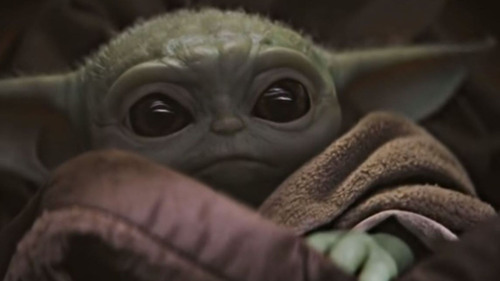 Baby Yoda a fait craquer les fans de Star Wars