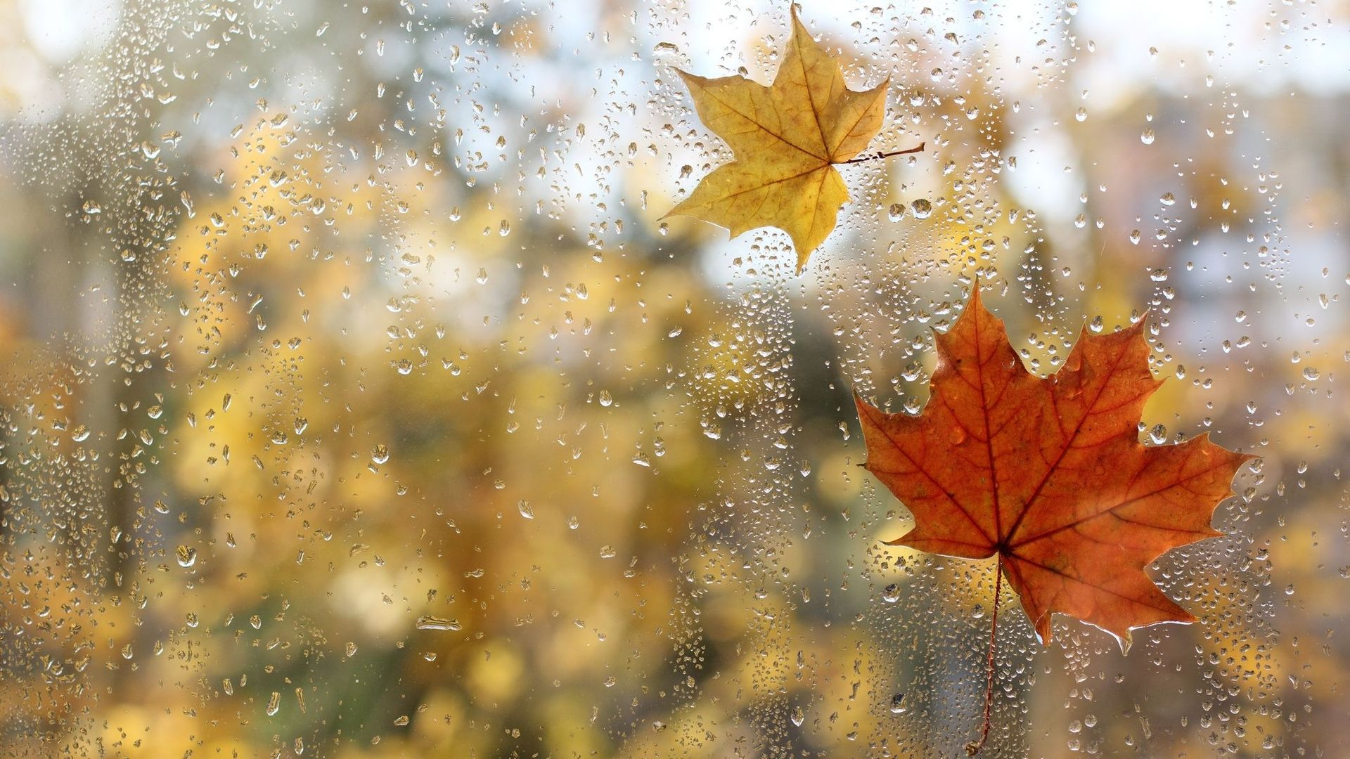Météo en Belgique : variable, venteux et doux ce mardi