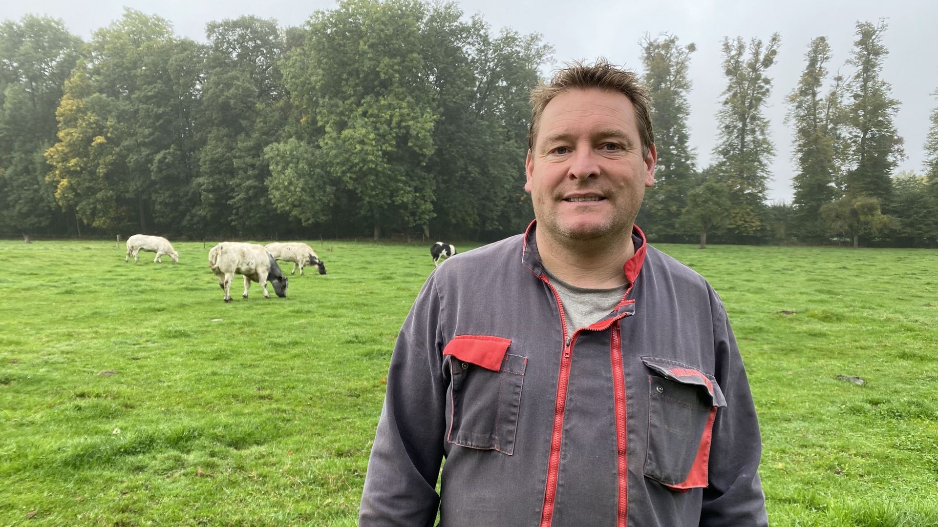 Manu Laruelle, producteur de la race Blanc Bleu Belge, est heureux de voir brouter à nouveau ses vaches.