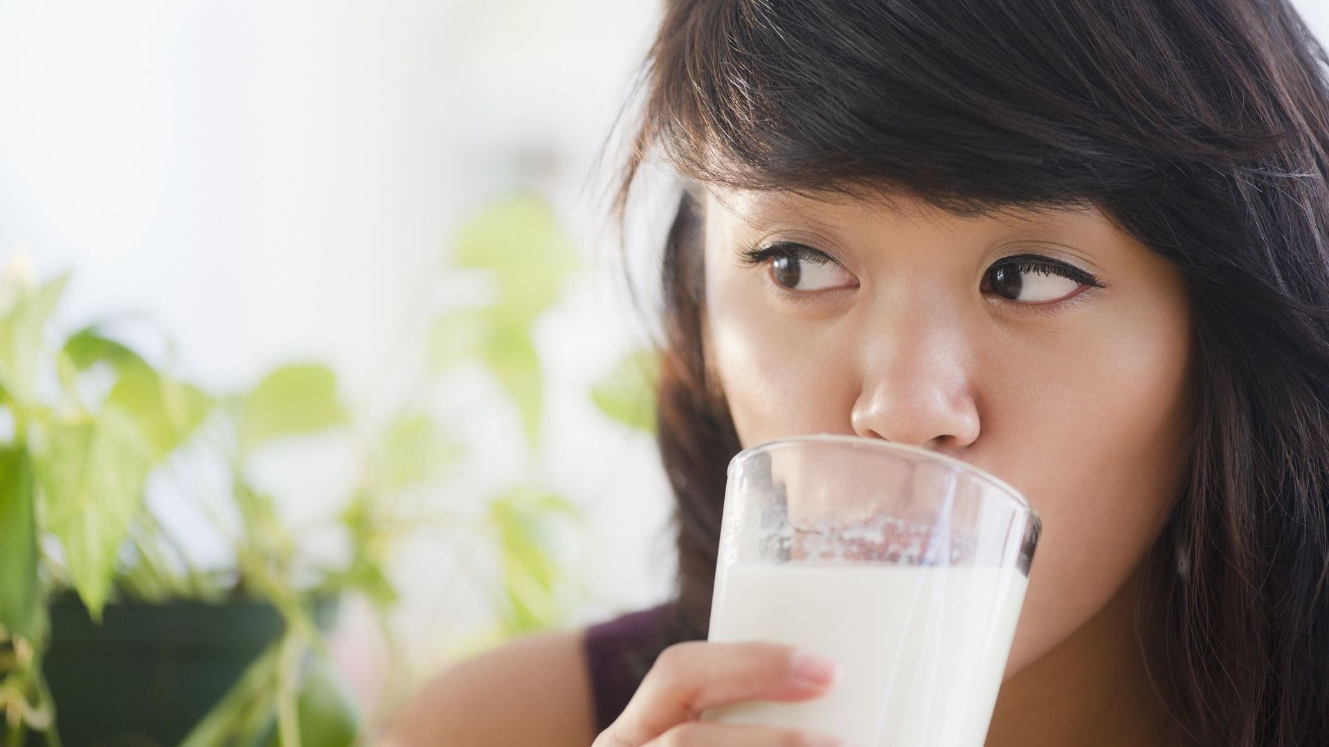 Boire du lait de vache augmenterait le risque de cancer du sein.