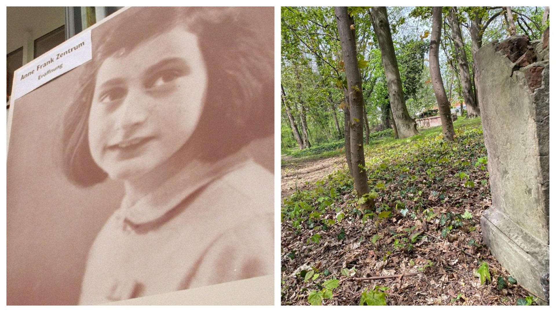L'ancien parc Arthur Maes devient le bois Anne Frank, du nom de la jeune auteure du mondialement connu journal intime.