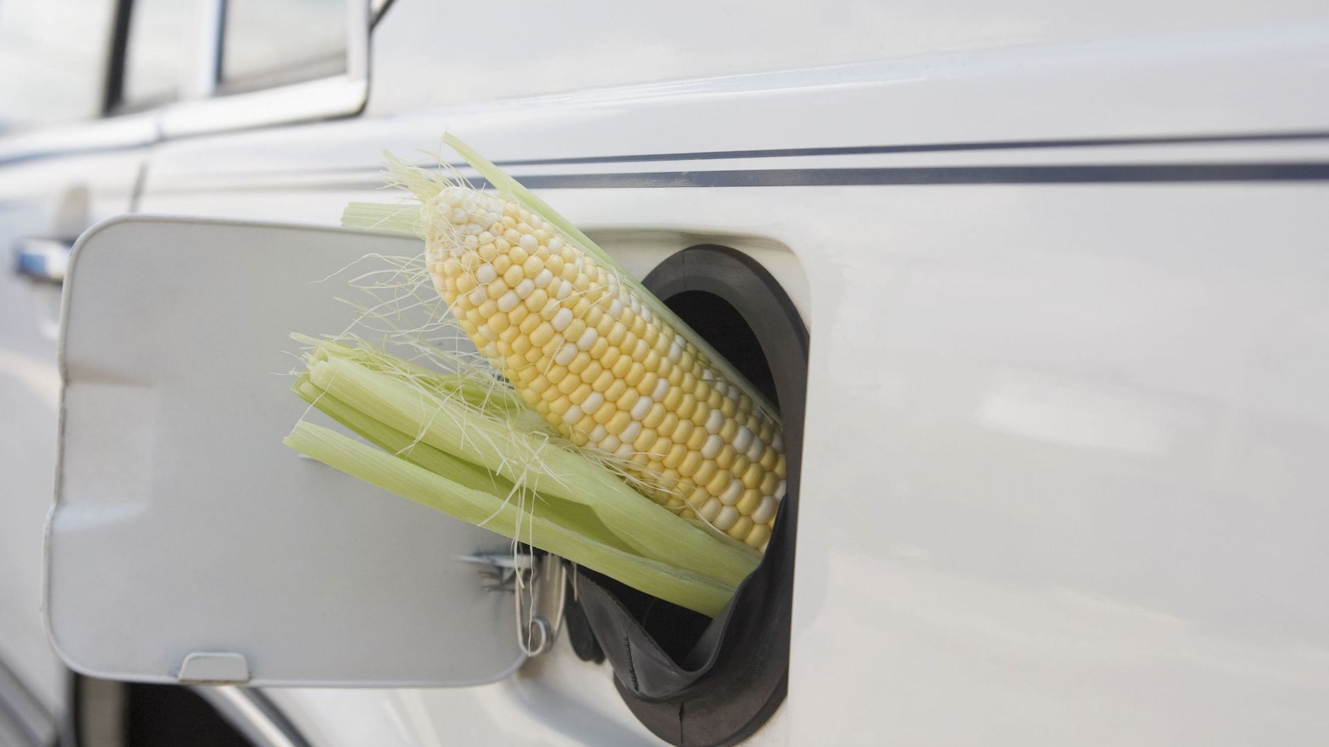 Corn cob in car gas tank filler.