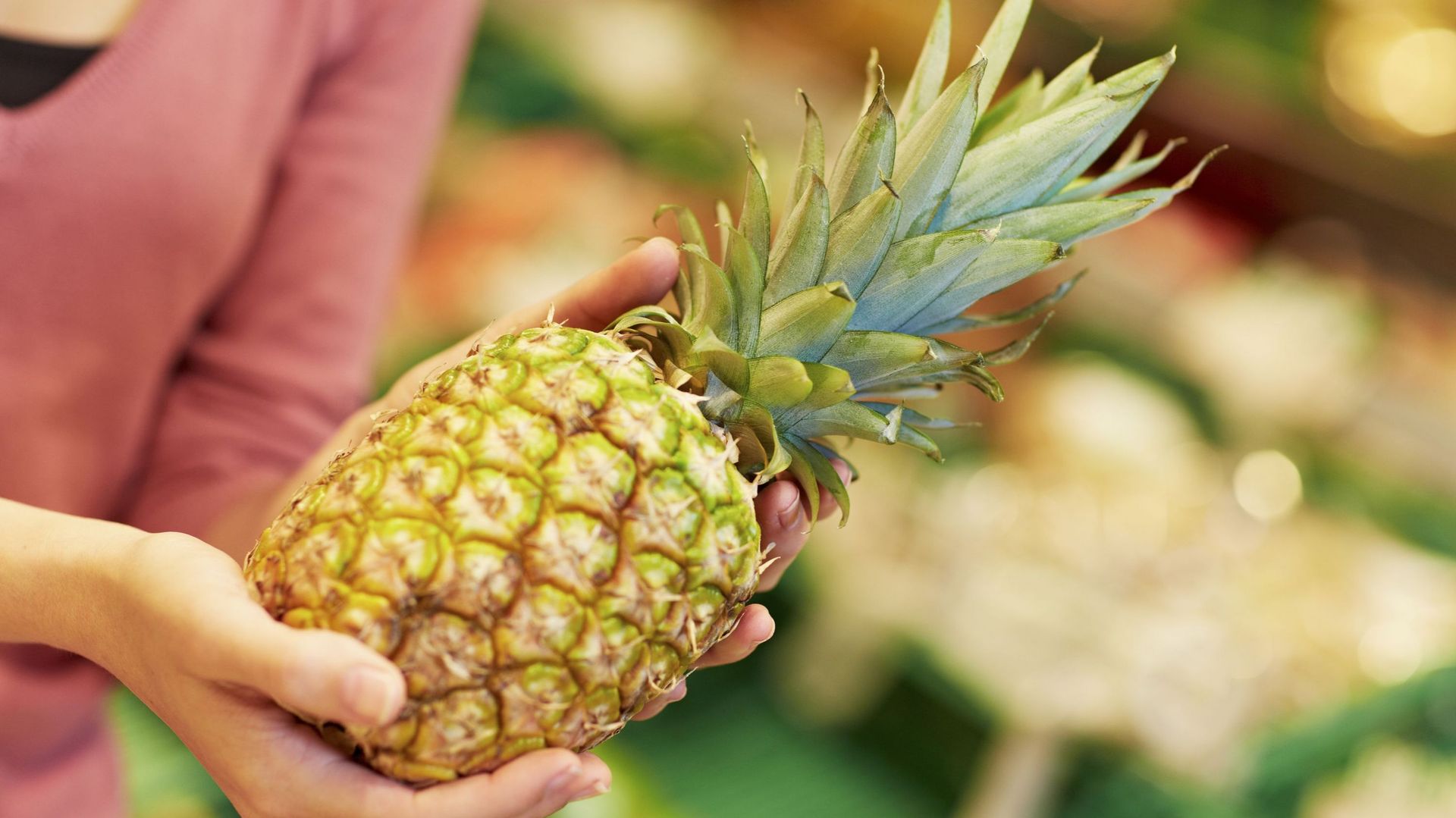 Faire pousser un ananas dans son salon à partir du fruit frais RTBF Actus