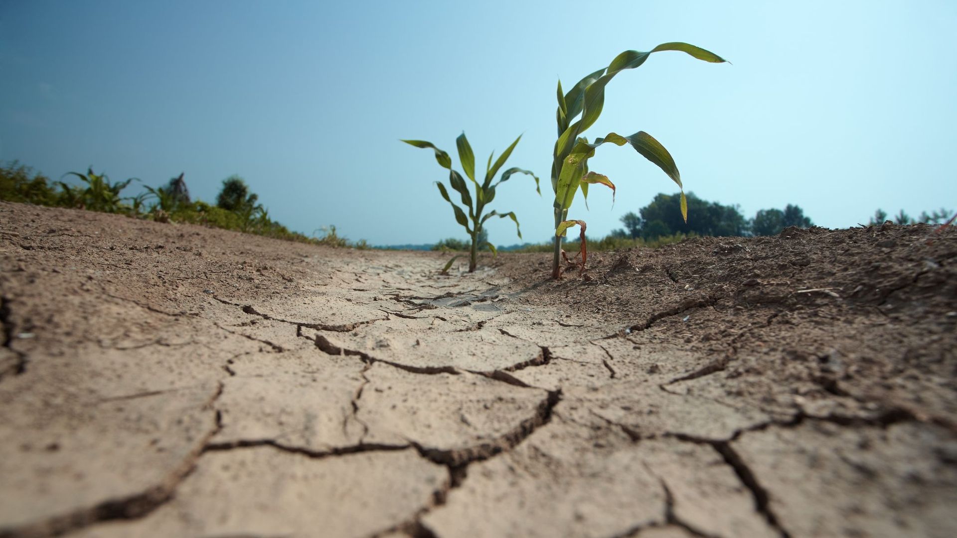 Changement climatique : un tiers de la production alimentaire mondiale serait menacée.