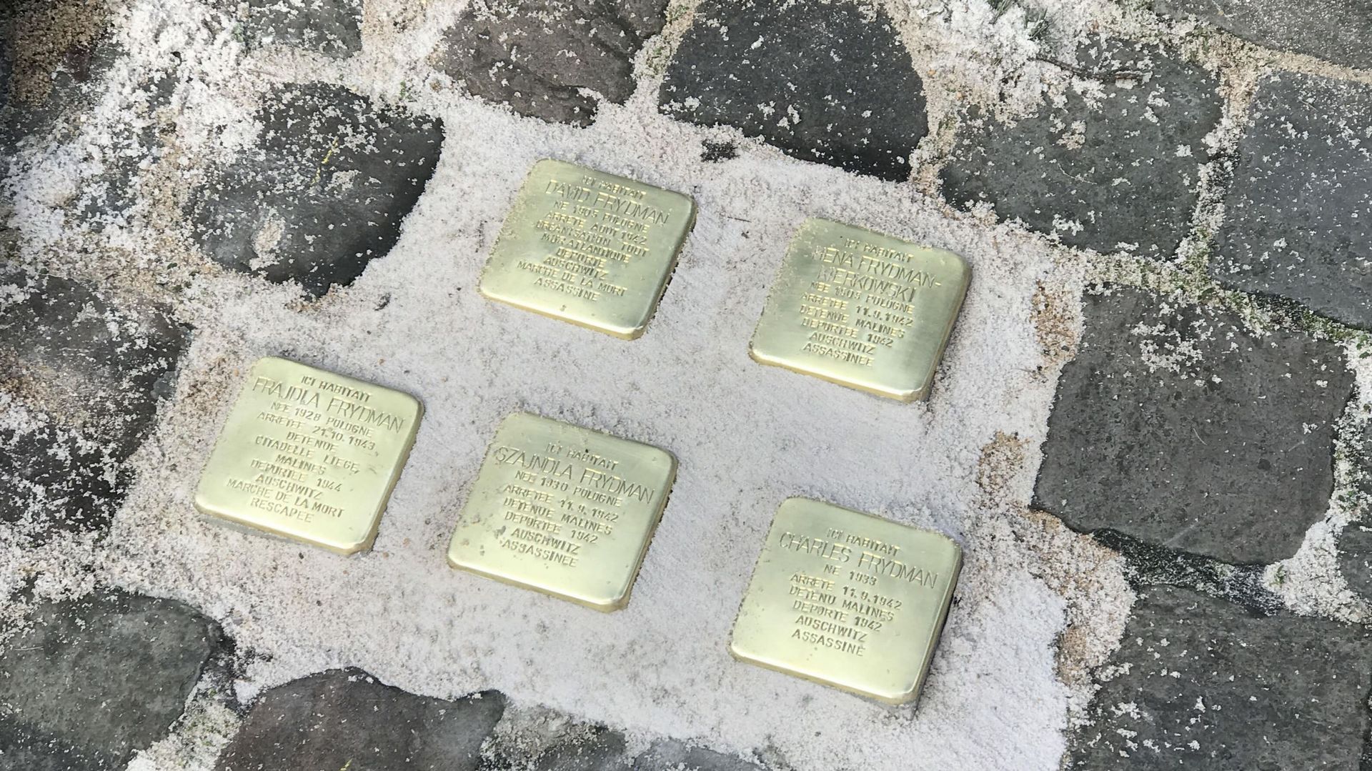 5 "pavés de la mémoire" à Liège pour immortaliser la tragédie de la Shoah