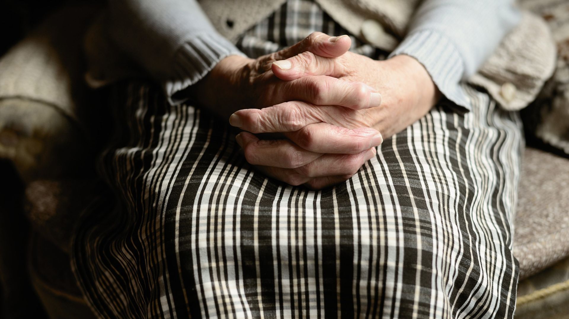 Des algues pour éviter de développer la malade d'Alzheimer