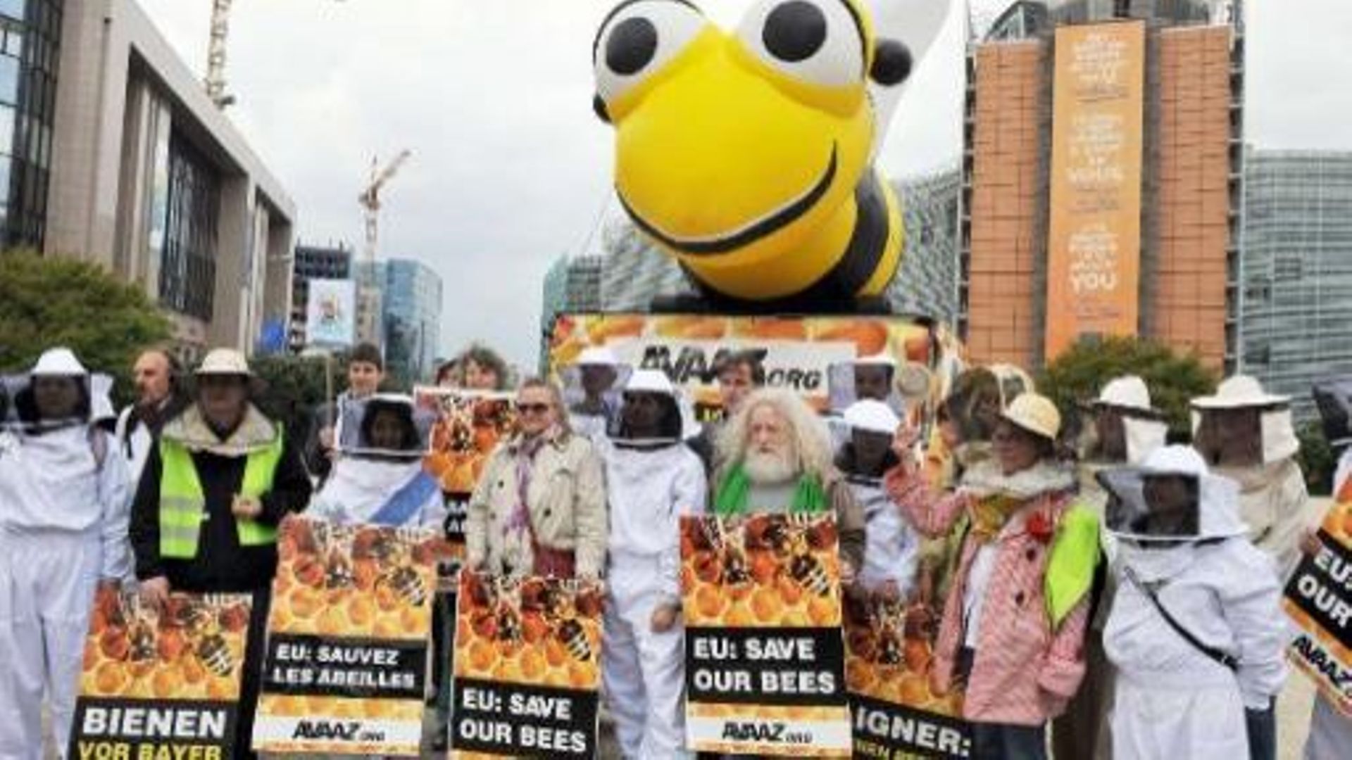 La mobilisation en faveur des abeilles portera-t-elle ses fruits