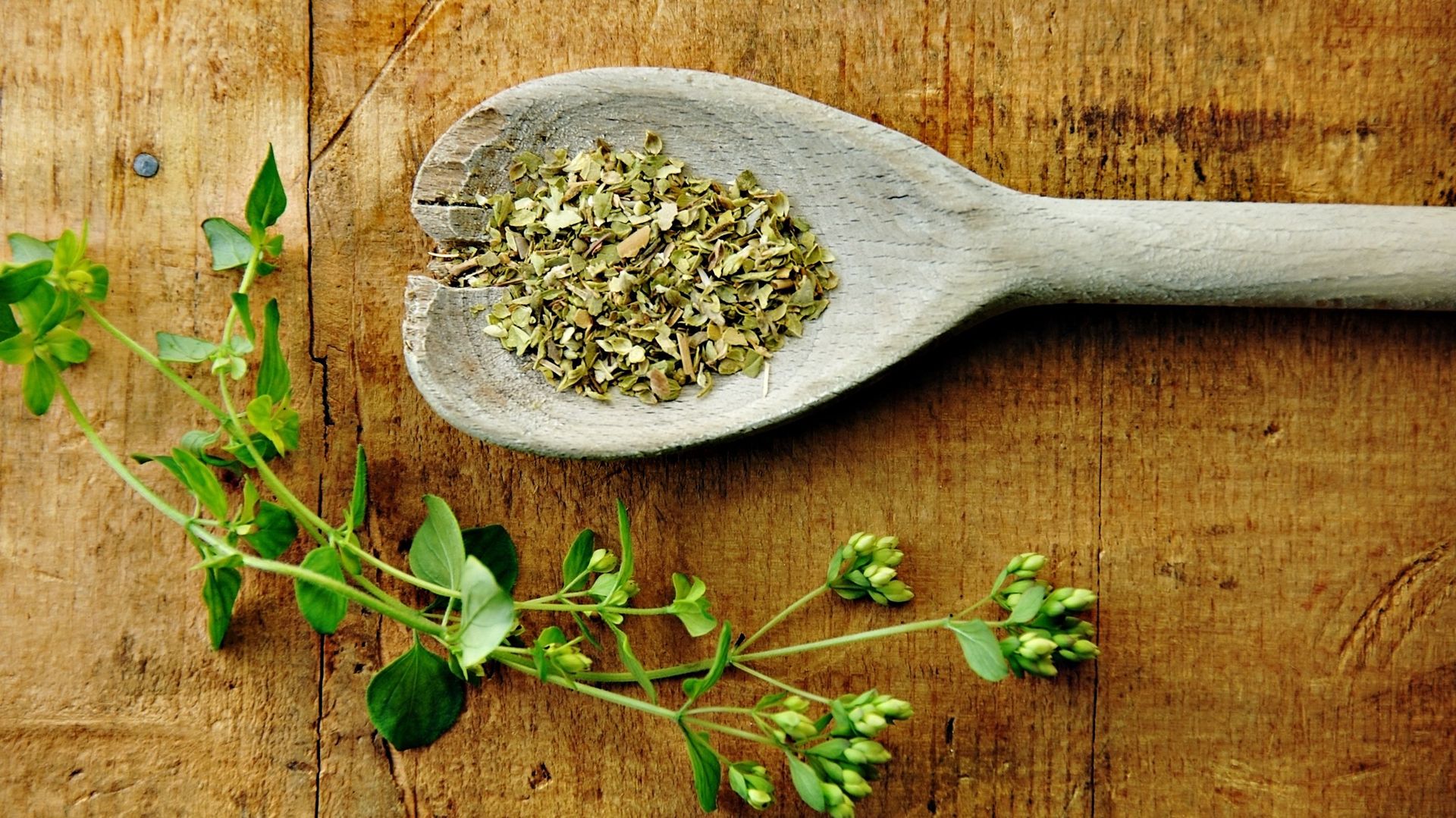 Herbes de Provence d'où viennentelles? rtbf.be