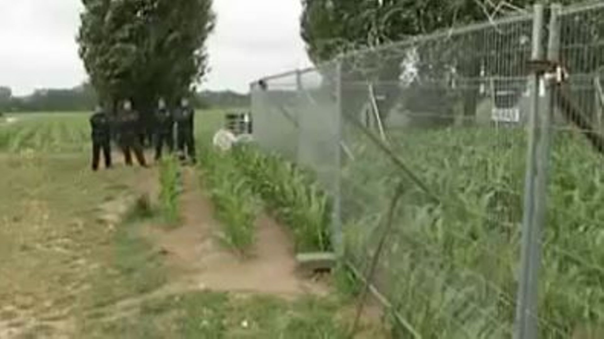 Les activistes étaient parvenus à briser le cordon de sécurité pour ensuite pénétrer sur le champ OGM.