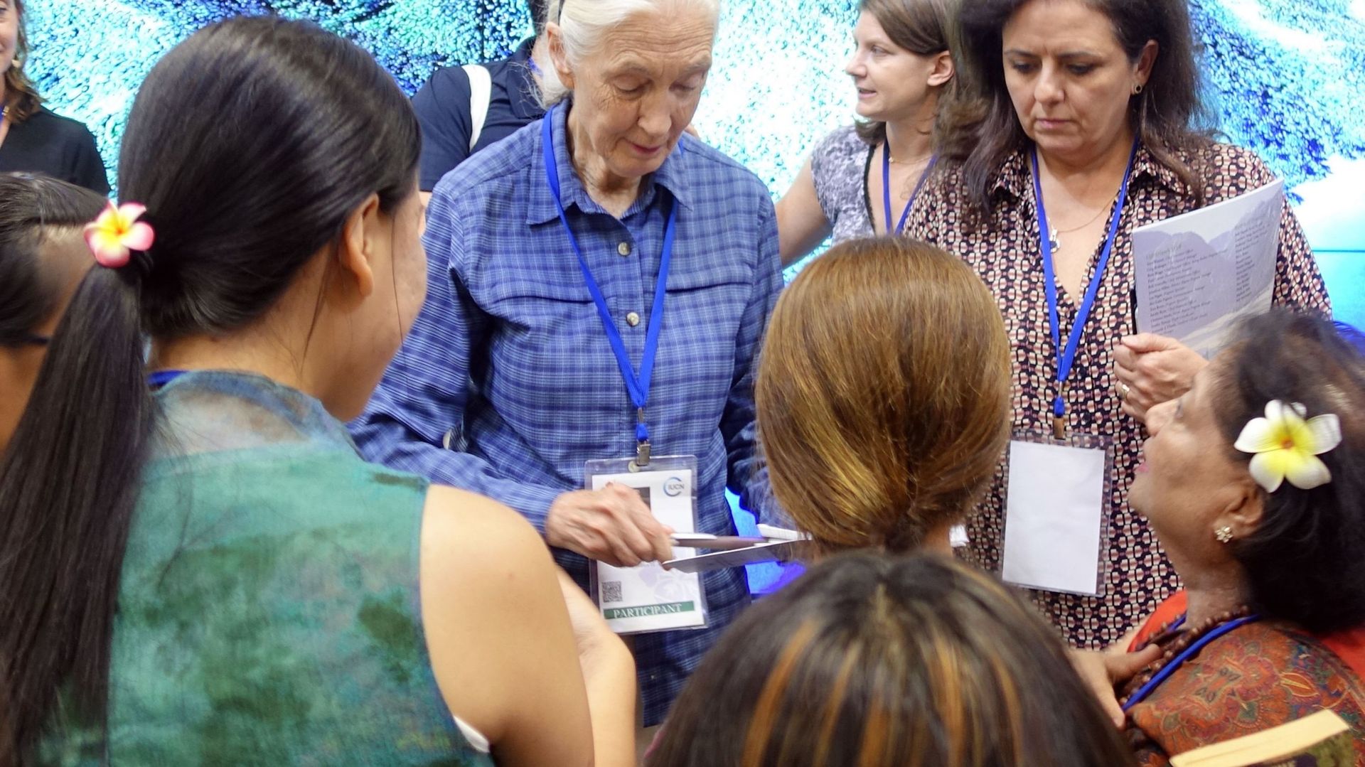 La primatologue Jane Goodall le 2 septembre 2016 à Honolulu, Hawaii