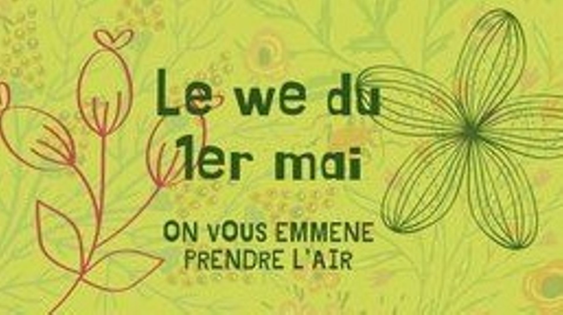 Balades pique-nique à travers la nature à Samrée