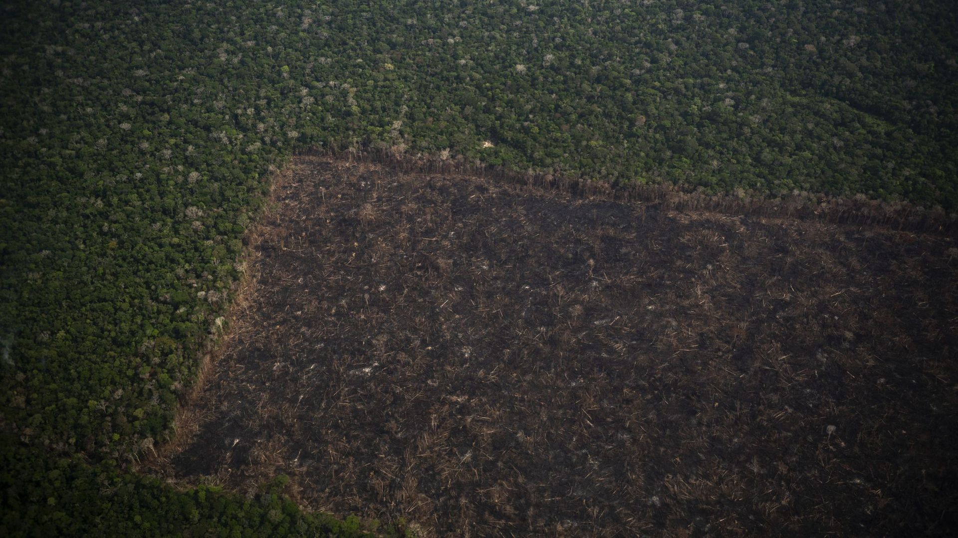 Vue aérienne montrant une zone déboisée de la forêt tropicale amazonienne à Labrea, dans l’État d’Amazonas, au Brésil, le 15 septembre 2021. L’Amazonie, la plus grande forêt tropicale du monde -les soi-disant " poumons de la Terre "- dans laquelle l’human