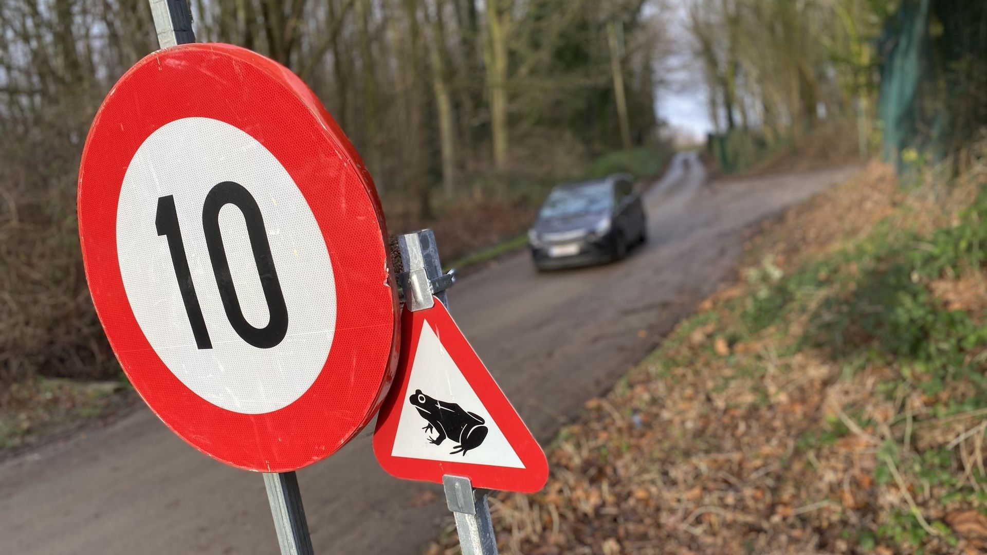 La Trassersweg à Neder-over-Heembeek voit passer chaque année des batraciens. Pour leur sécurité, la vitesse y est limitée à 10 km/h.