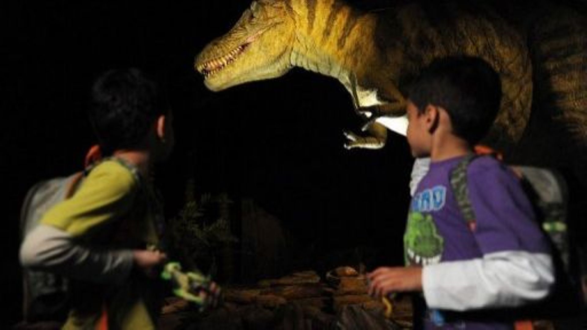 De jeunes visiteurs du Musée d'histoire naturelle de Londres où étaient conservés les os du plus vieux dinosaure connu