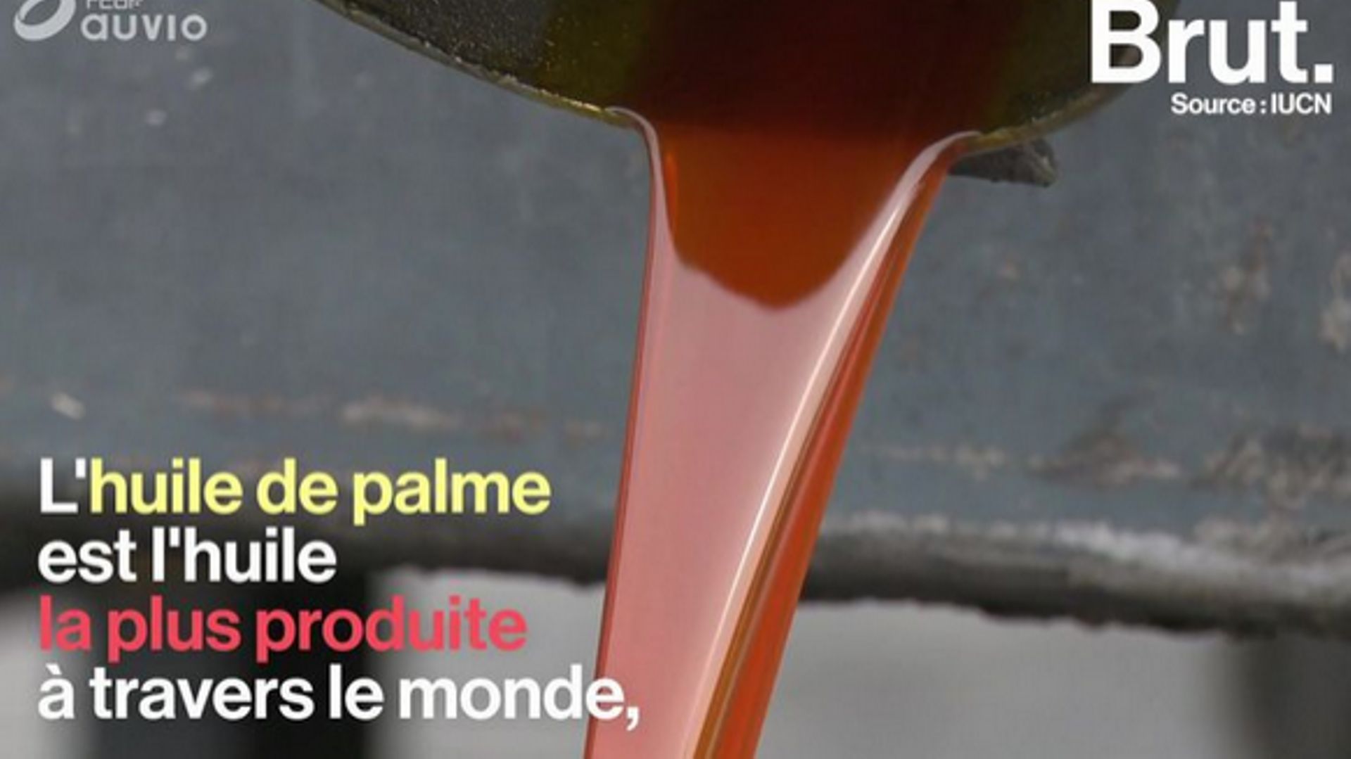 Comment remplacer l'huile de palme?