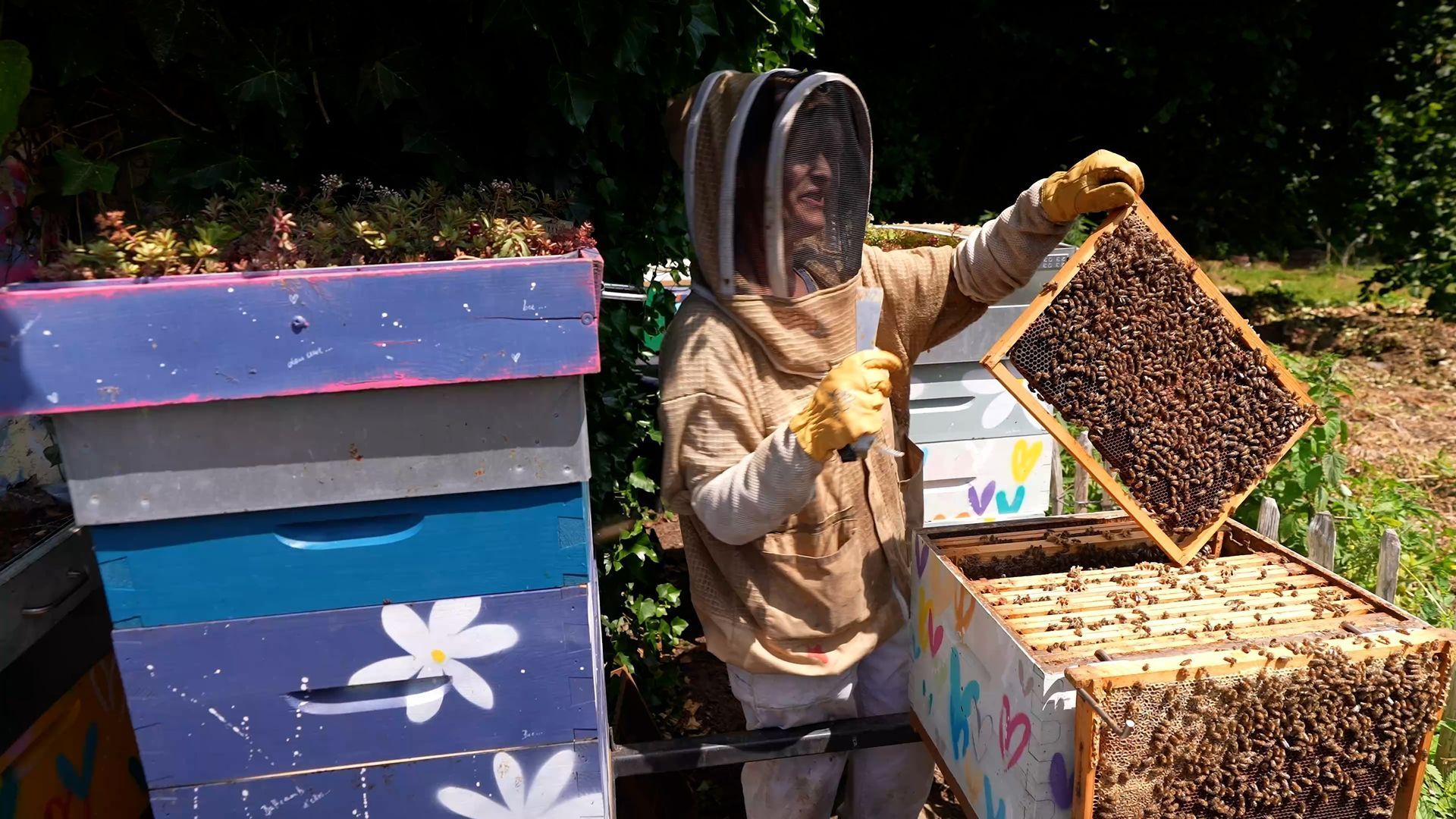 Le jardin des abeilles de Sophie S., une apicultrice engagée dans le Brabant wallon
