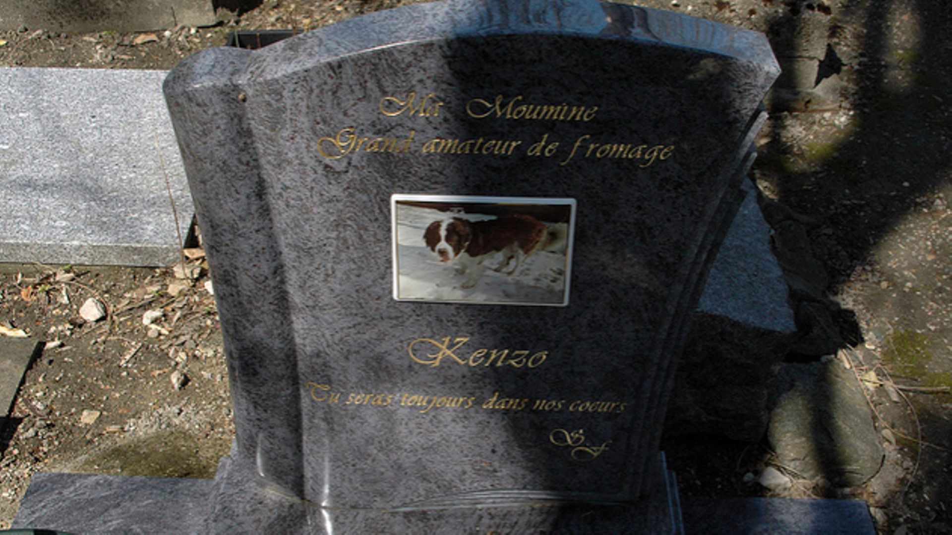 Cendres humaines dans un cimetière animalier liégeois: un acte