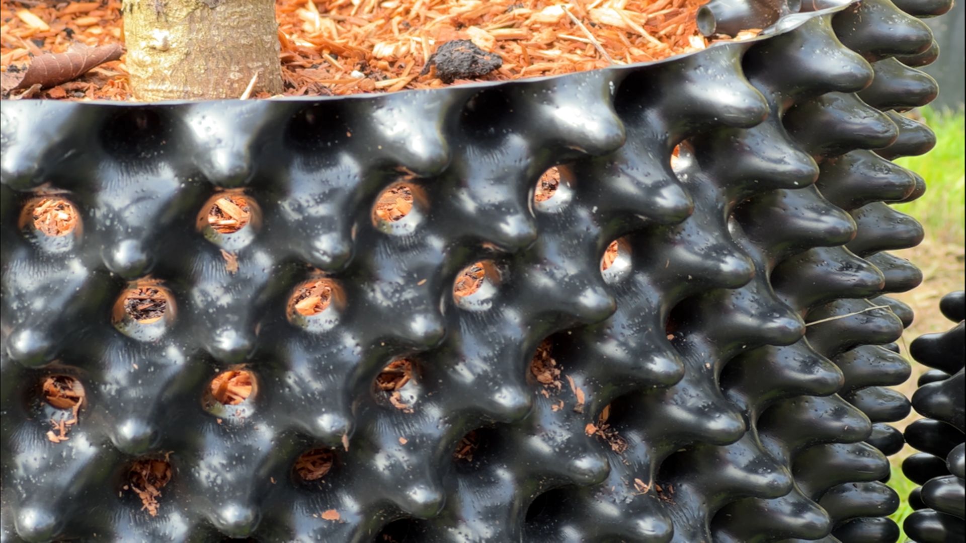 L’air-pot a un autre avantage. Il est retiré après la vente de la plante qui est fournie avec sa motte emballée dans un sac. Réutilisé dans la pépinière pour de nouvelles cultures, il résout le problème des pots en plastique qui deviennent des déchets.