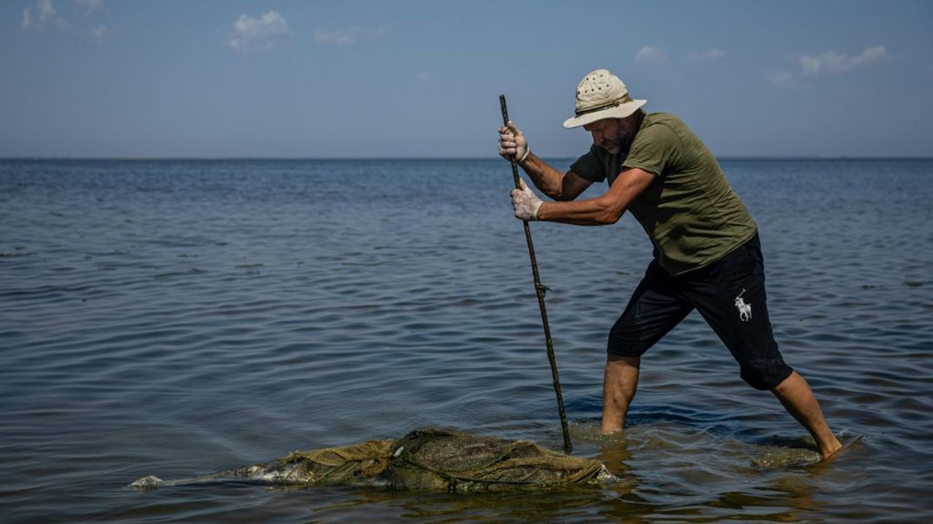 Le scientifique Ivan Roussev examine un dauphin mort sur une plage du parc national des Lagunes de Touzly, le 28 août 2022 en Ukraine.
