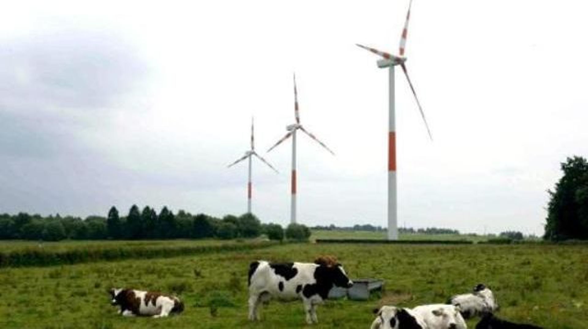 La Wallonie fixe un cadre juridique pour les éoliennes