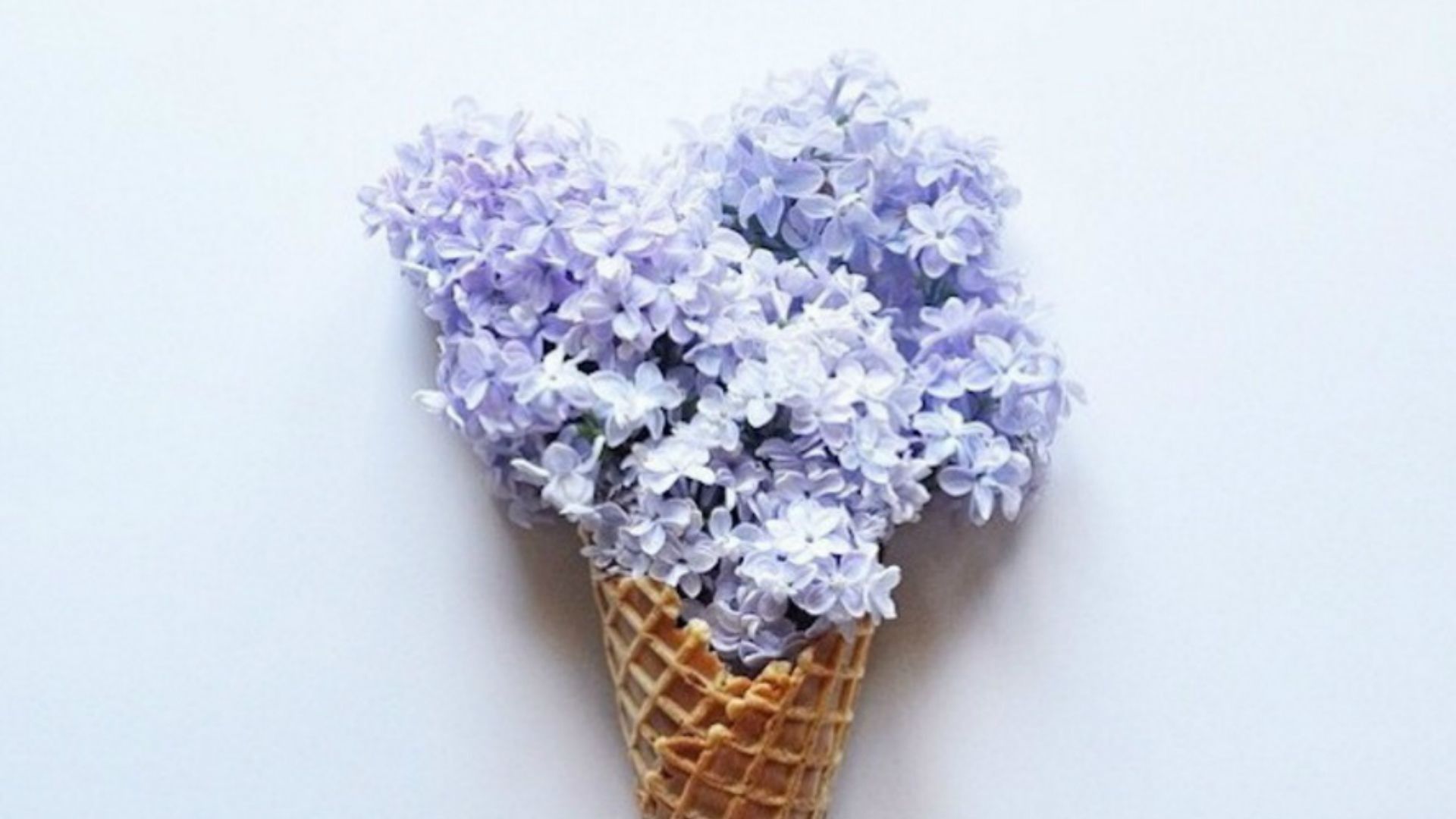 Inspiration : des cornets de fleurs - RTBF Actus