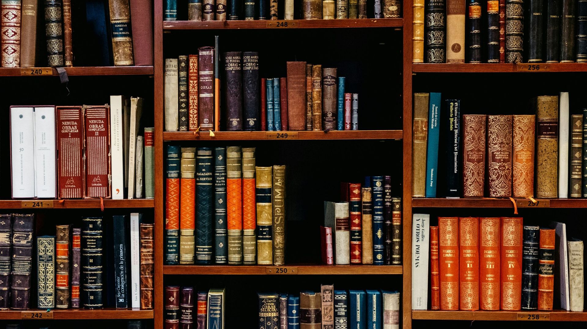 La minute insolite : une bibliothèque récupère un livre emprunté il y a 82 ans