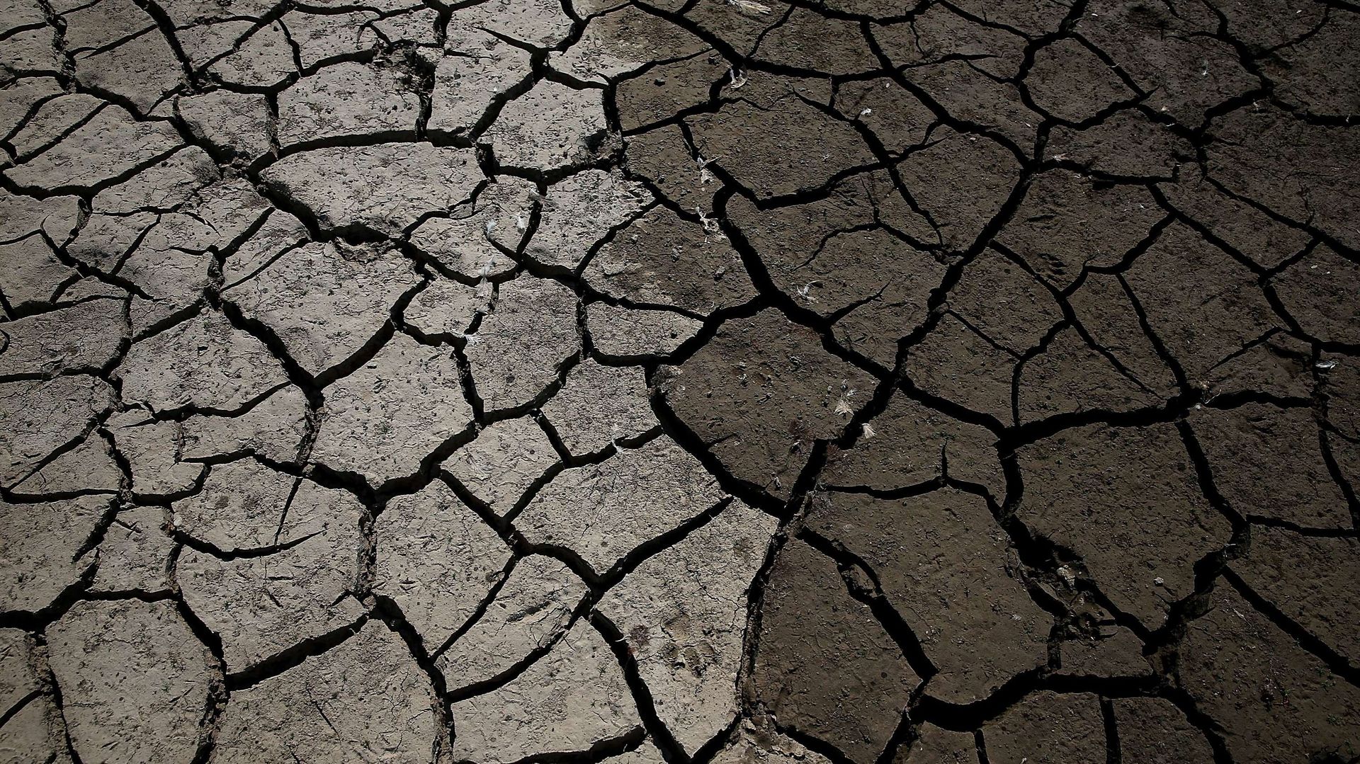 La sécheresse a atteint des records en Californie.