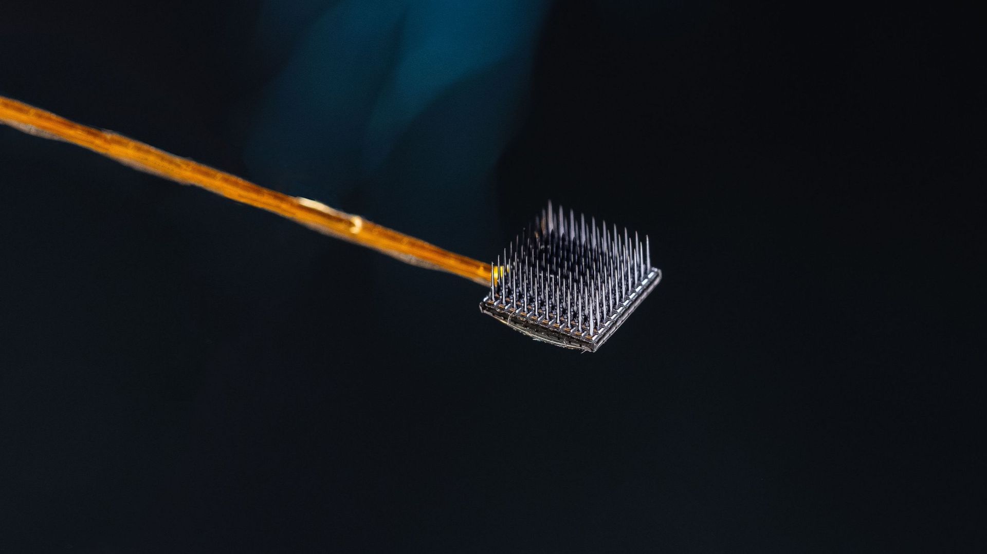 Deux réseaux de micro-électrodes, chacun de 3,2 mm carrés, ont été insérés dans la surface du cortex moteur – la partie du cerveau responsable du mouvement. Source : Wyss Center
