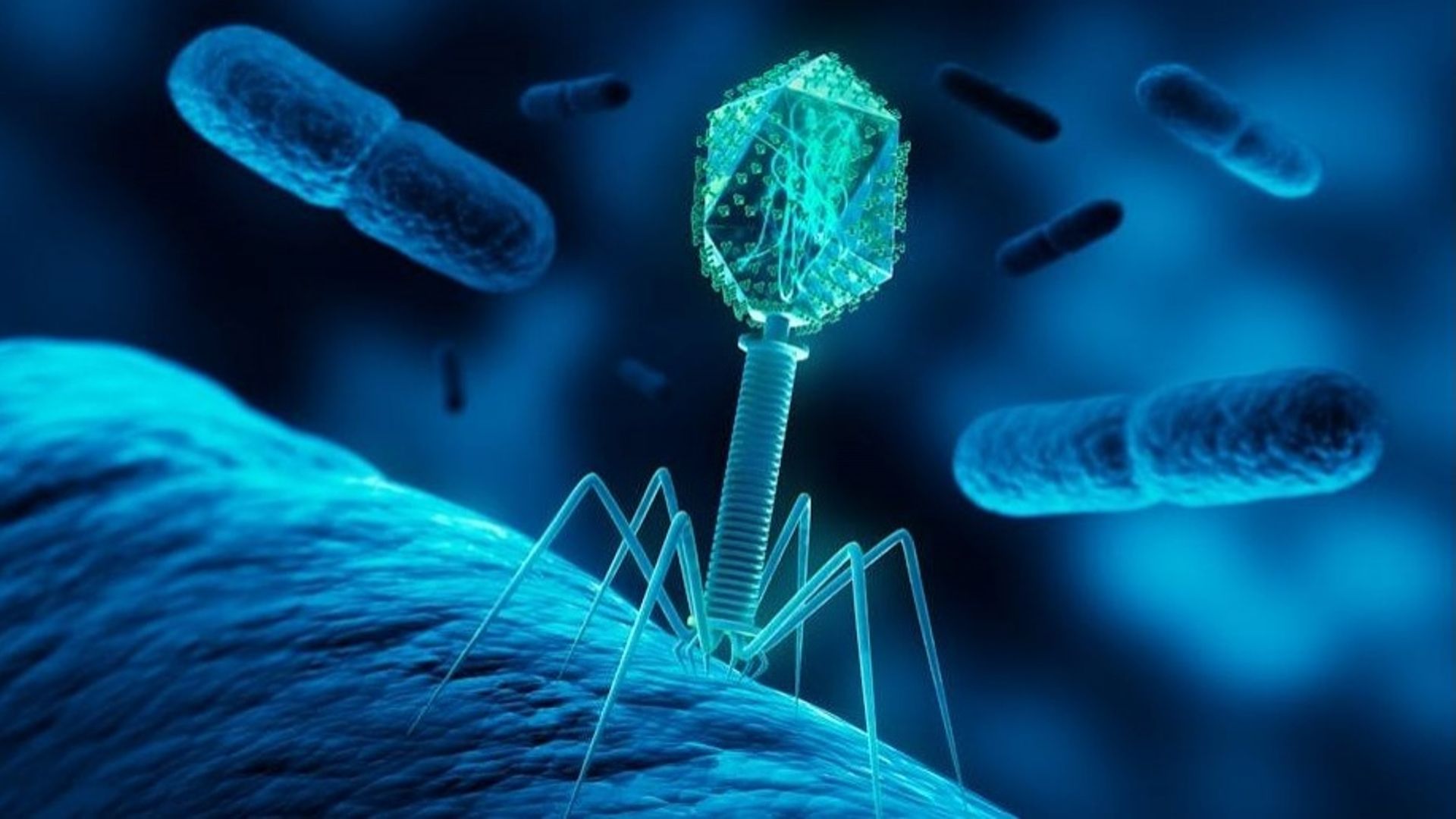 Les bactéries miroirs pourraient conquérir la vie sur Terre : et si ce fantasme de scientifiques devenait une dangereuse réalité ?