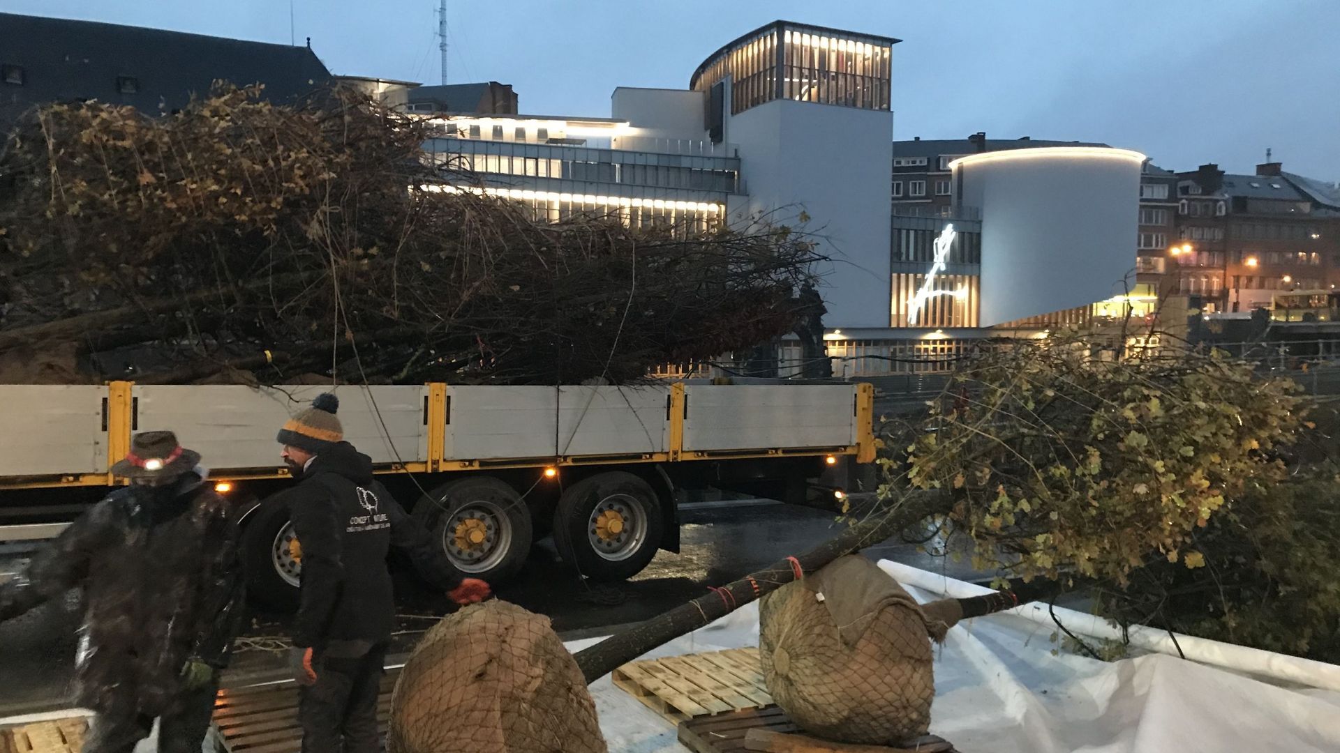 Le Grognon de Namur retrouve ses arbres : 8 chênes seront repiqués cette semaine