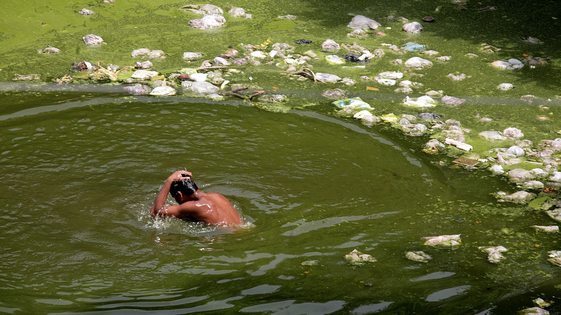 An Indian man takes dip in a local pond highly polluted by plastic packets and waste items dumped by locals on the eve of World Earth Day in Eastern Indian city of Calcutta