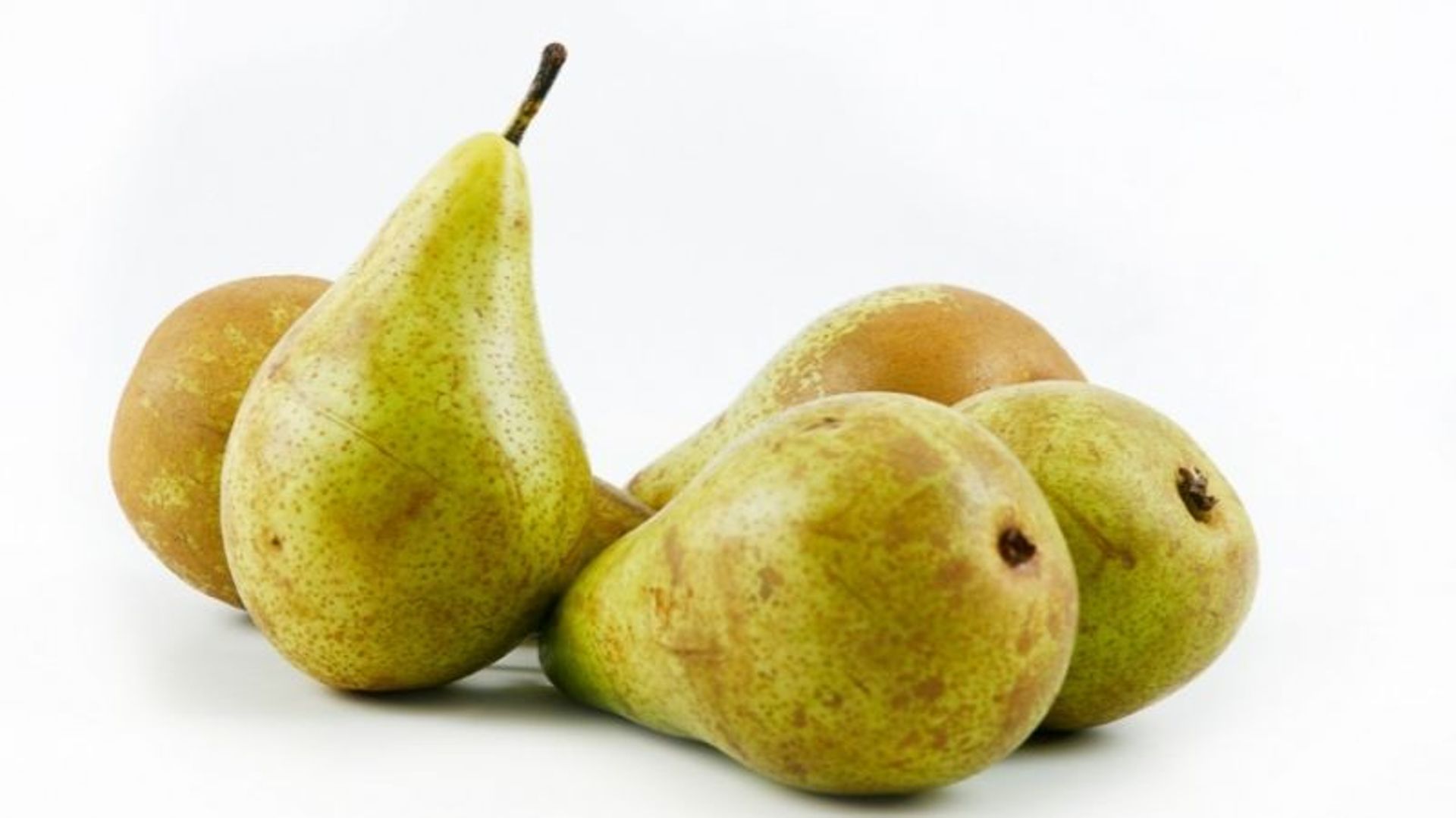 Груша на белом фоне. Груша арабка 4. Груши на белом фоне много. Колоновидная груша северянка. Груша лель.
