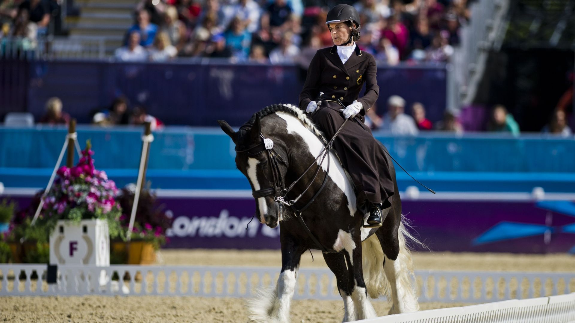 Deuxième médaille de bronze pour Barbara Minneci en paradressage rtbf.be