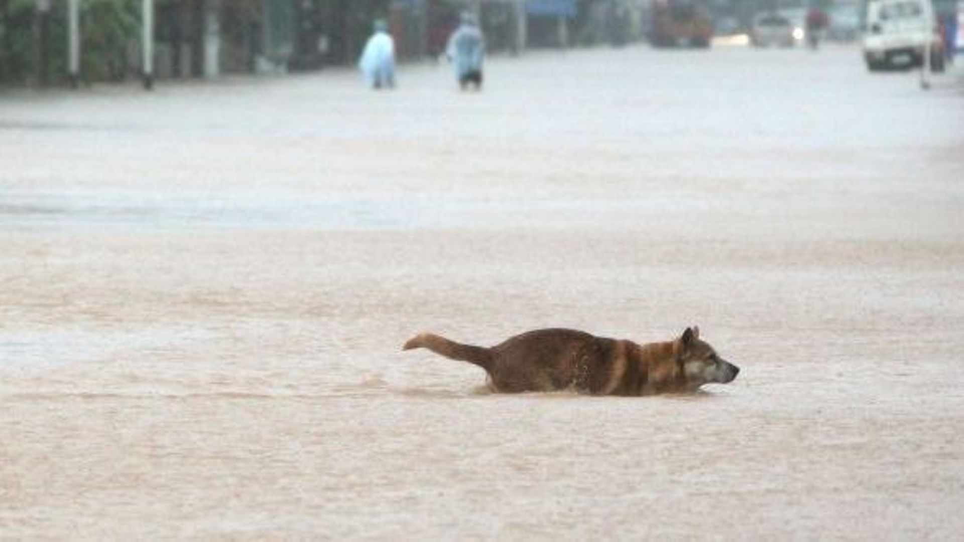 Inondations En Thaïlande: 11 Morts, Des Touristes Bloqués Sur Les îles ...