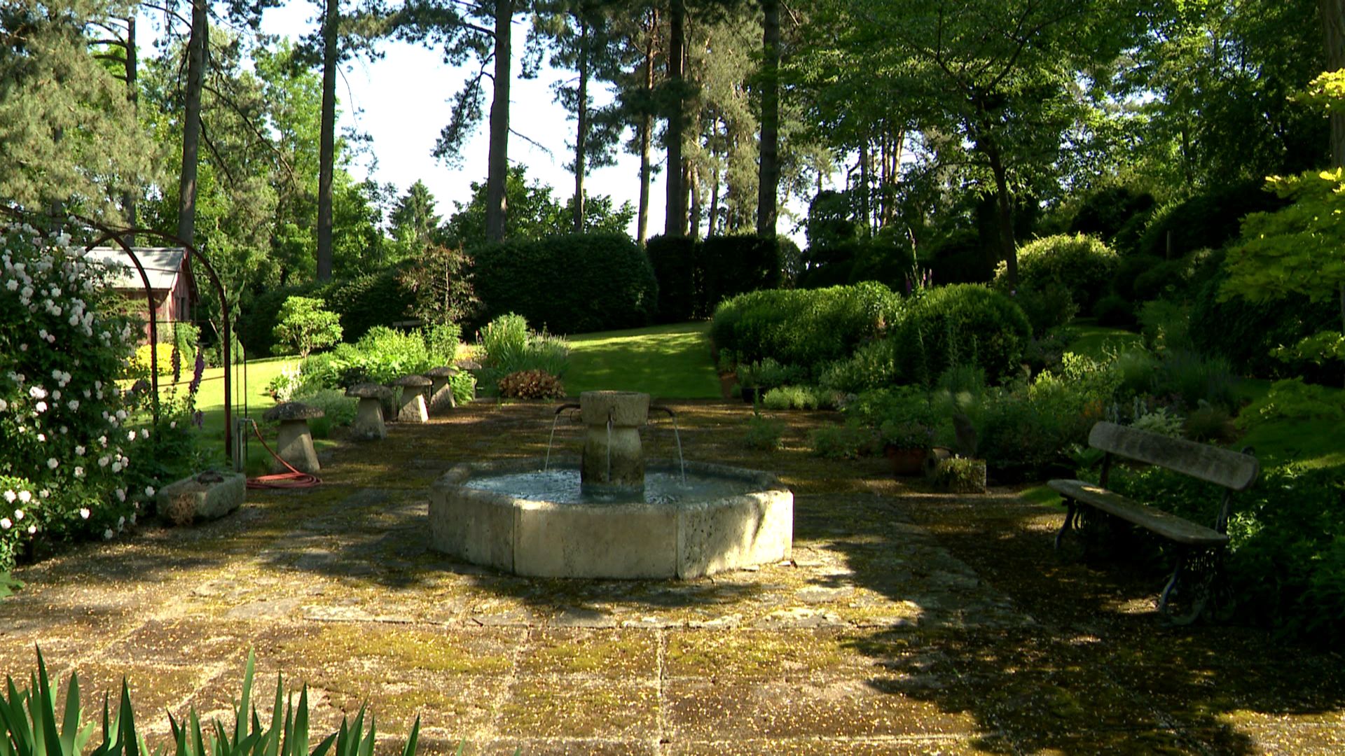 Fontaine en pierre sous les pins au jardin