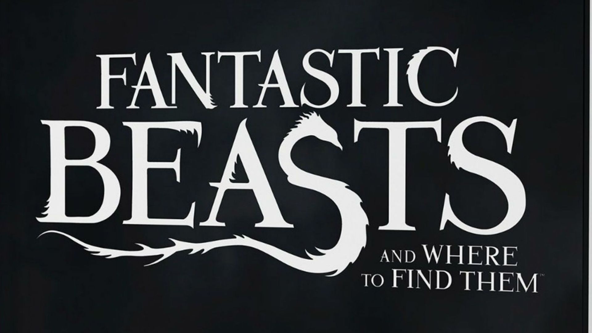 J.K Rowling va publier le scénario des "Animaux fantastiques"