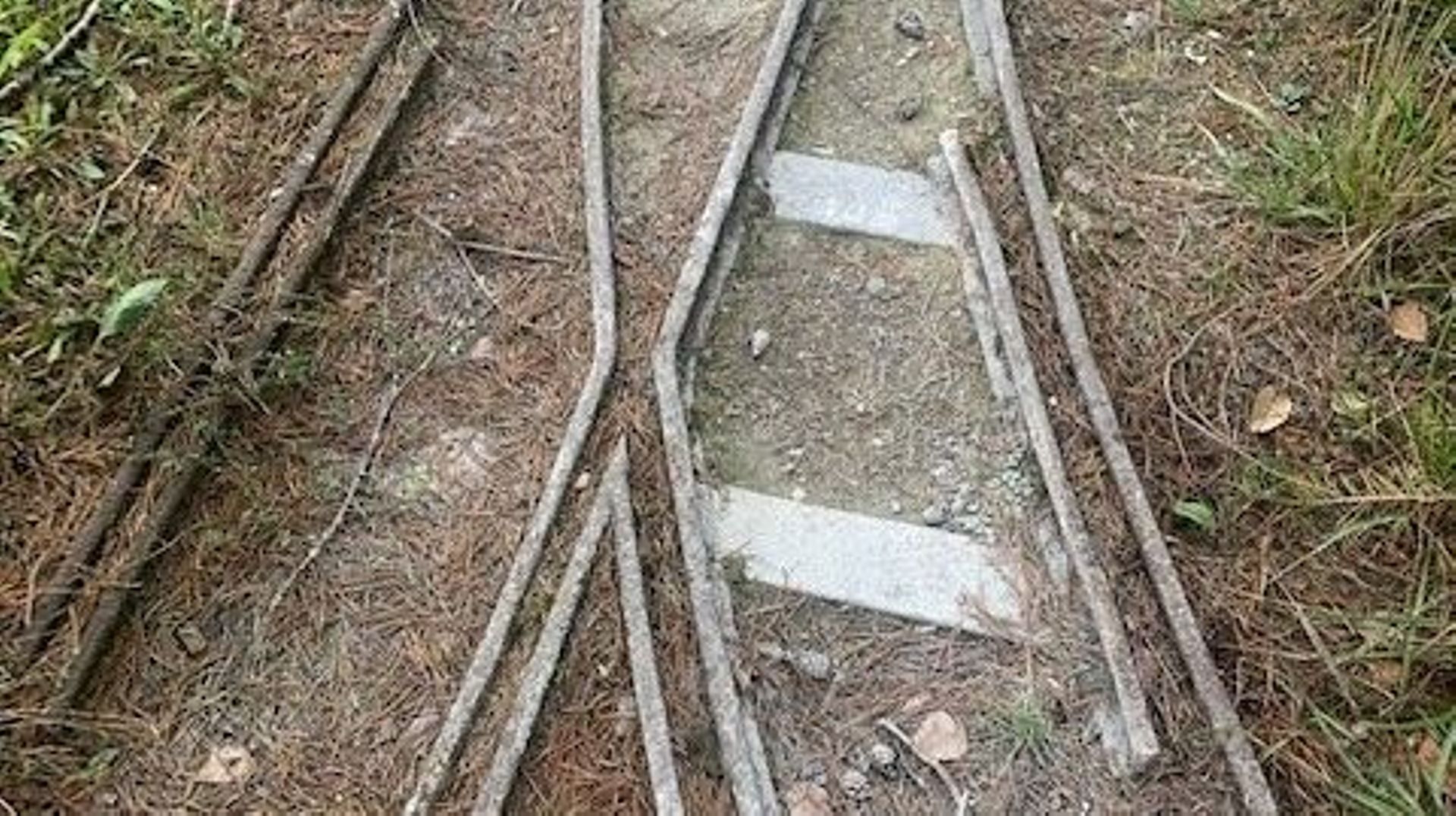 Un chemin de fer au beau milieu des bois.