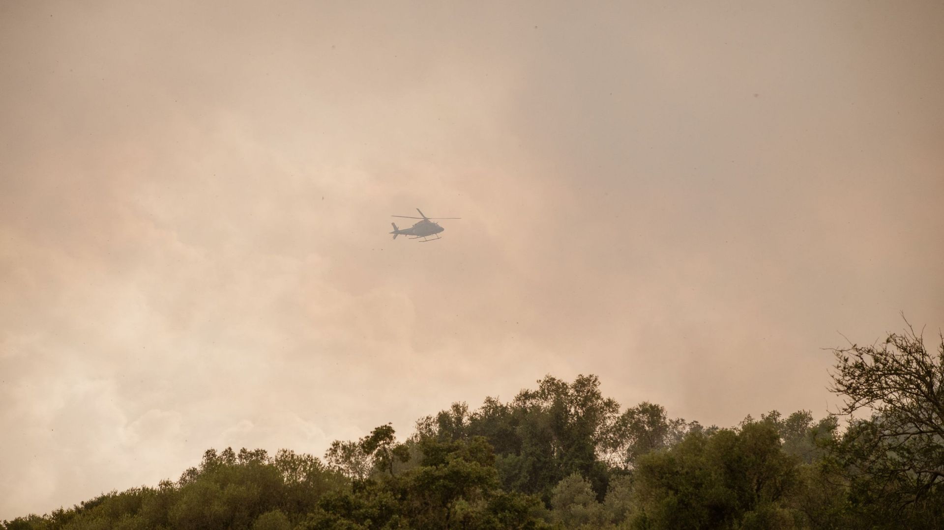 Image d'illustration - feux de forêt au Portugal