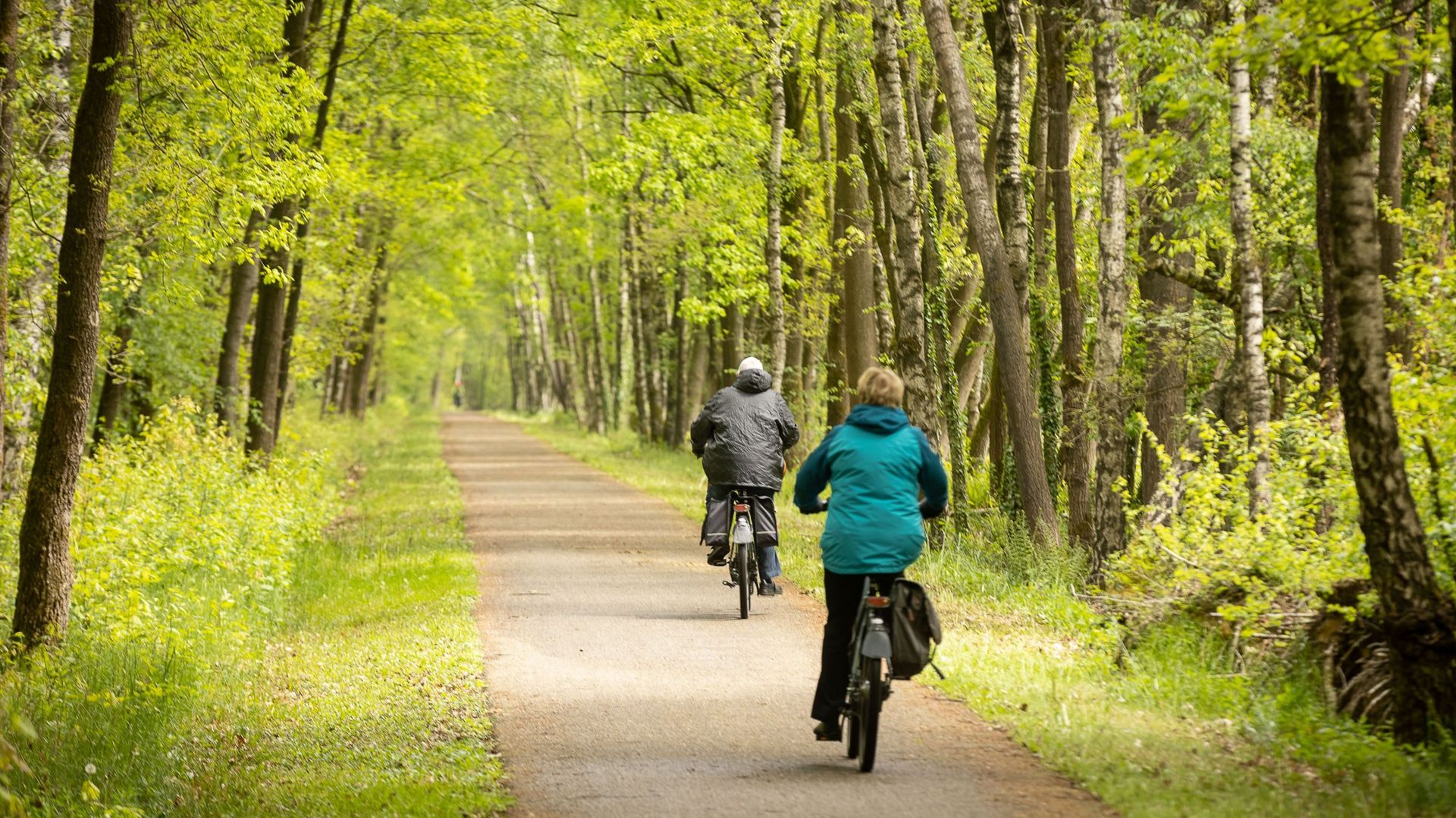 Cyclistes dans le bois de Dilsen-Stokkem