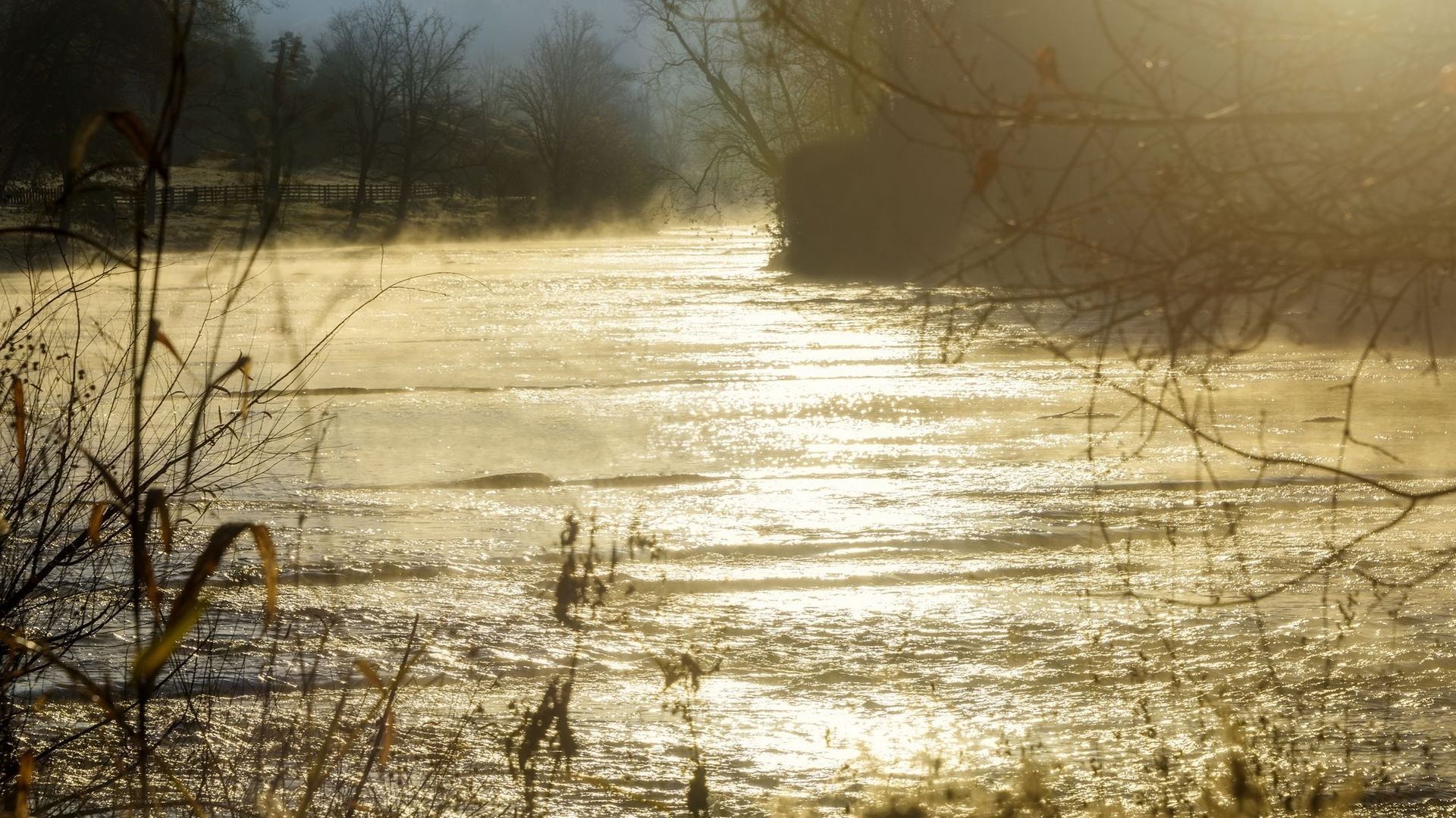 Brume sur la rivière Pigeon, en Caroline du Nord ( illustration)